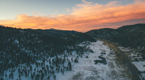 Green Trees on Snow Covered Ground during Sunset