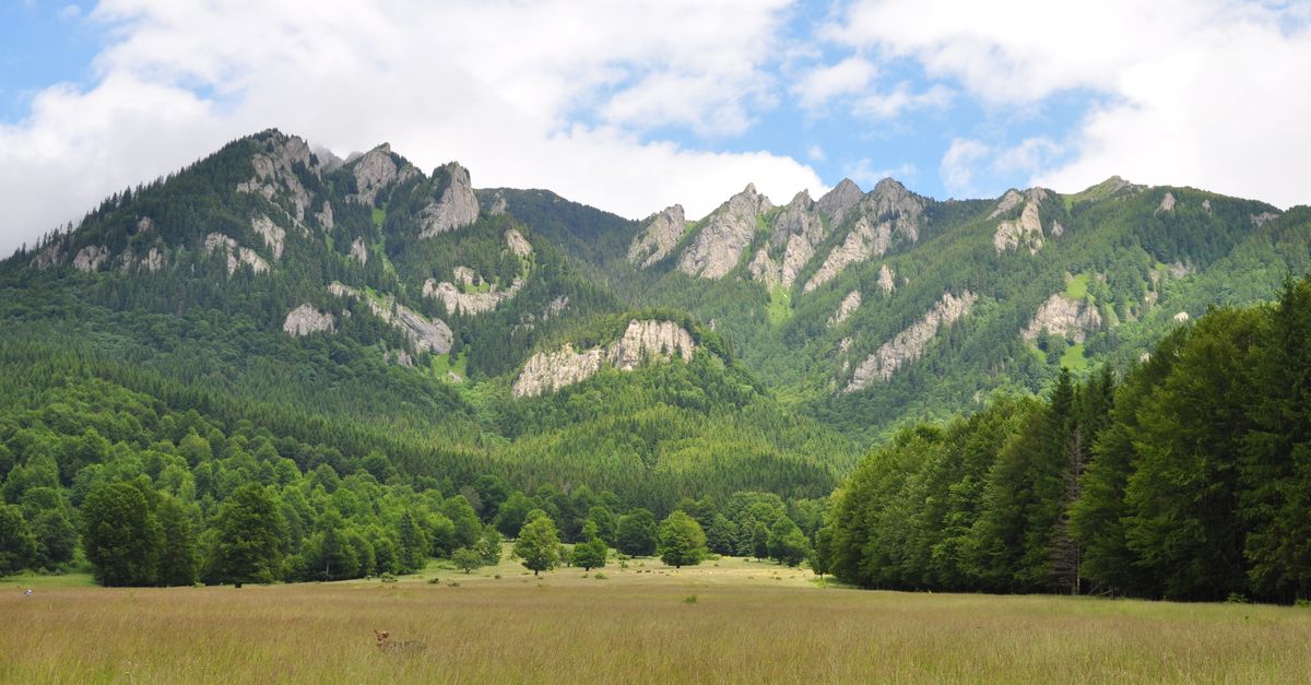 Slănic Prahova