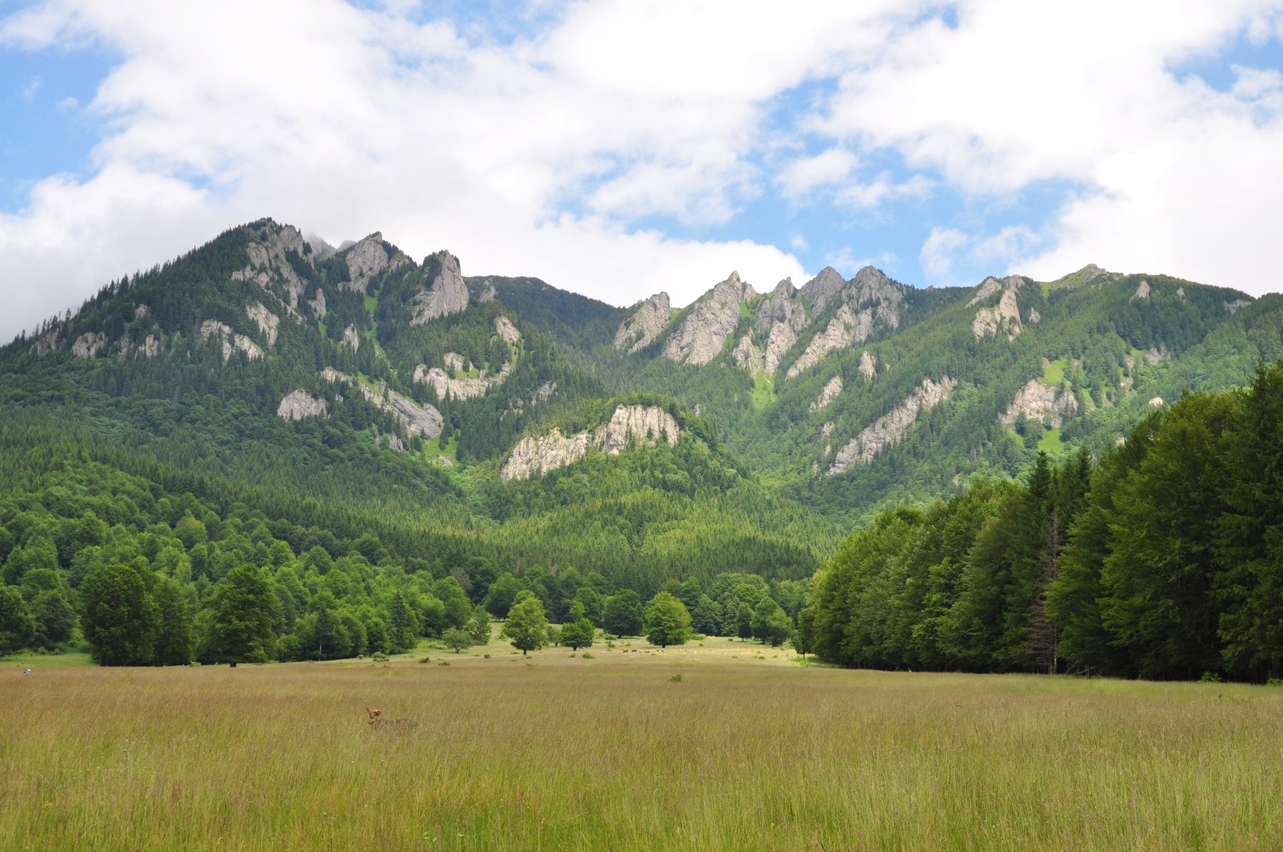 Creste și pajiști în Munții Carpați, Prahova, sub cer senin