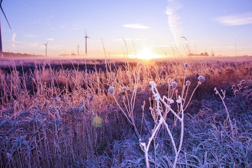 Immagine gratuita di alba, cielo azzurro, mulini a vento