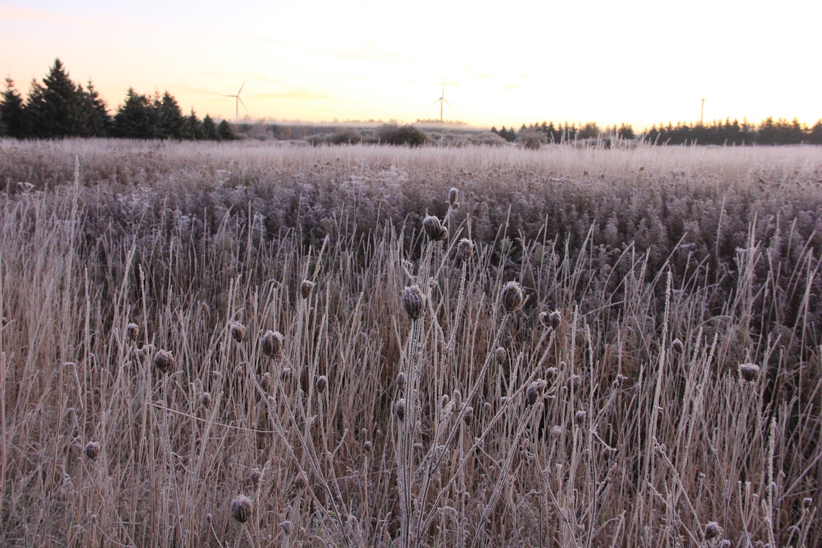 A solitary person walking across windswept hills under a stormy sky