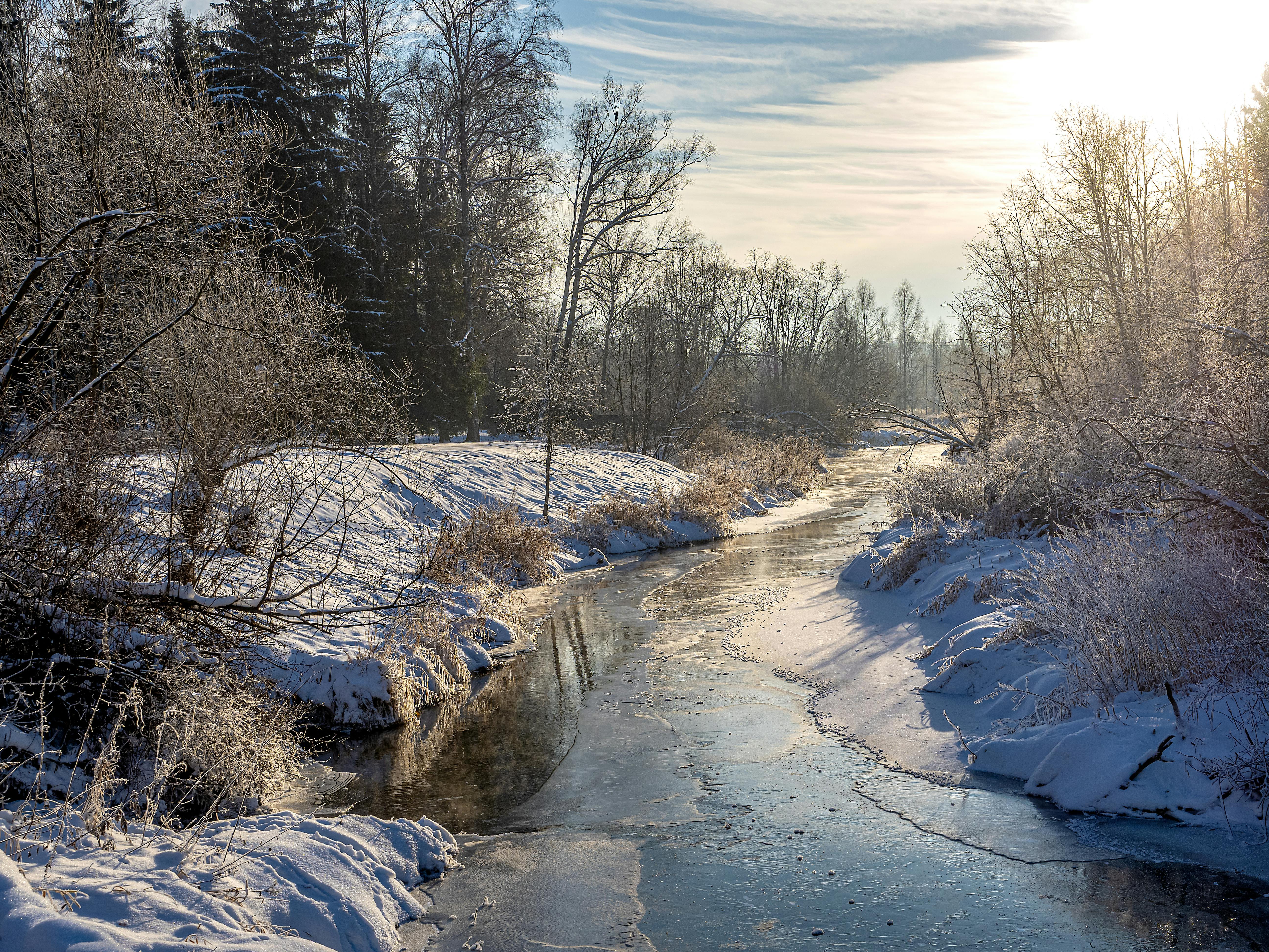 Gratis Pemandangan musim dingin yang tenang berupa sungai yang membeku dikelilingi pepohonan bersalju. Foto Stok