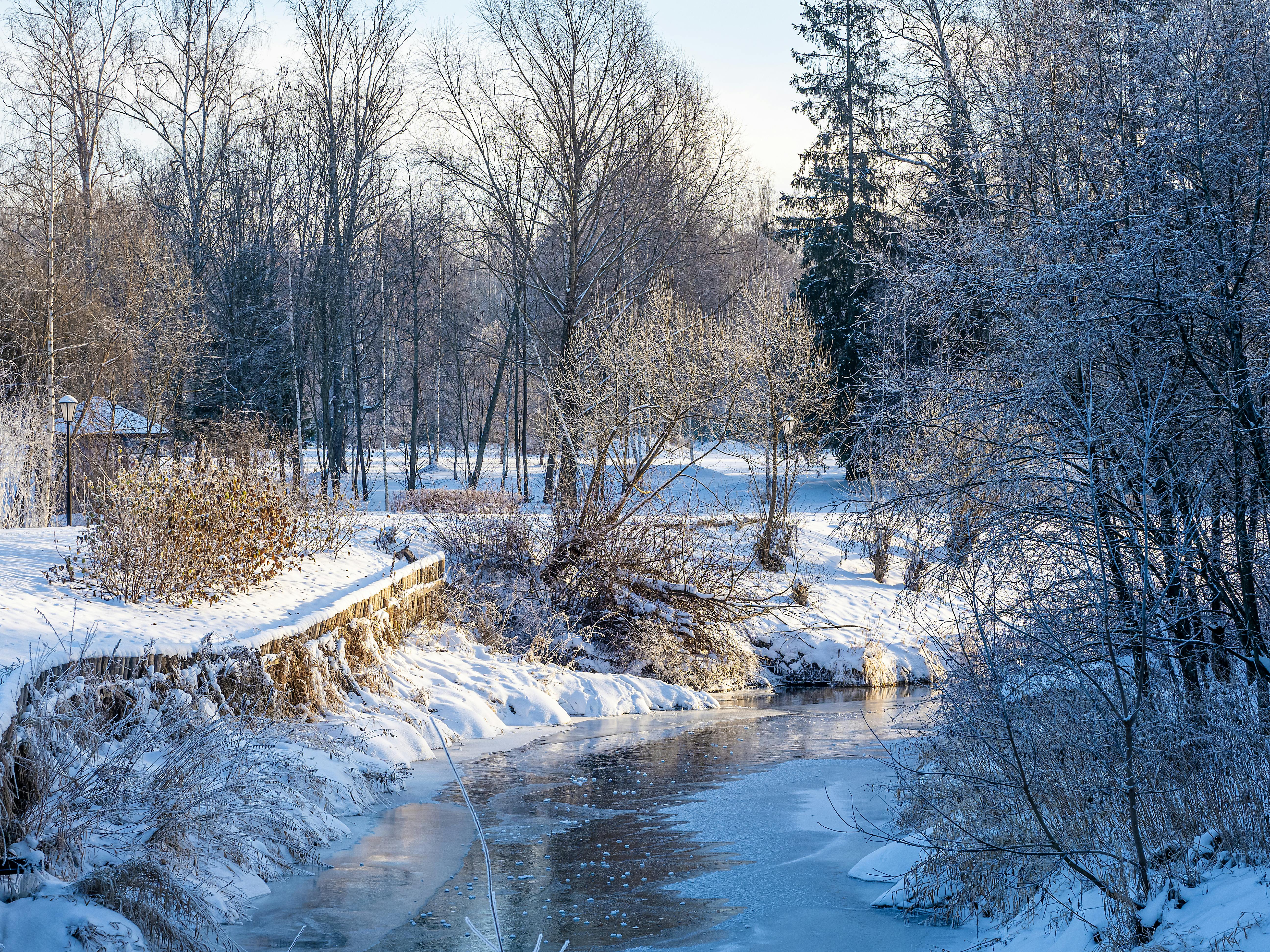 Zadarmo Pokojná zimná scenéria so zamrznutou riekou a zasneženými stromami, ktorá vytvára pokojnú atmosféru. Fotka z fotobanky