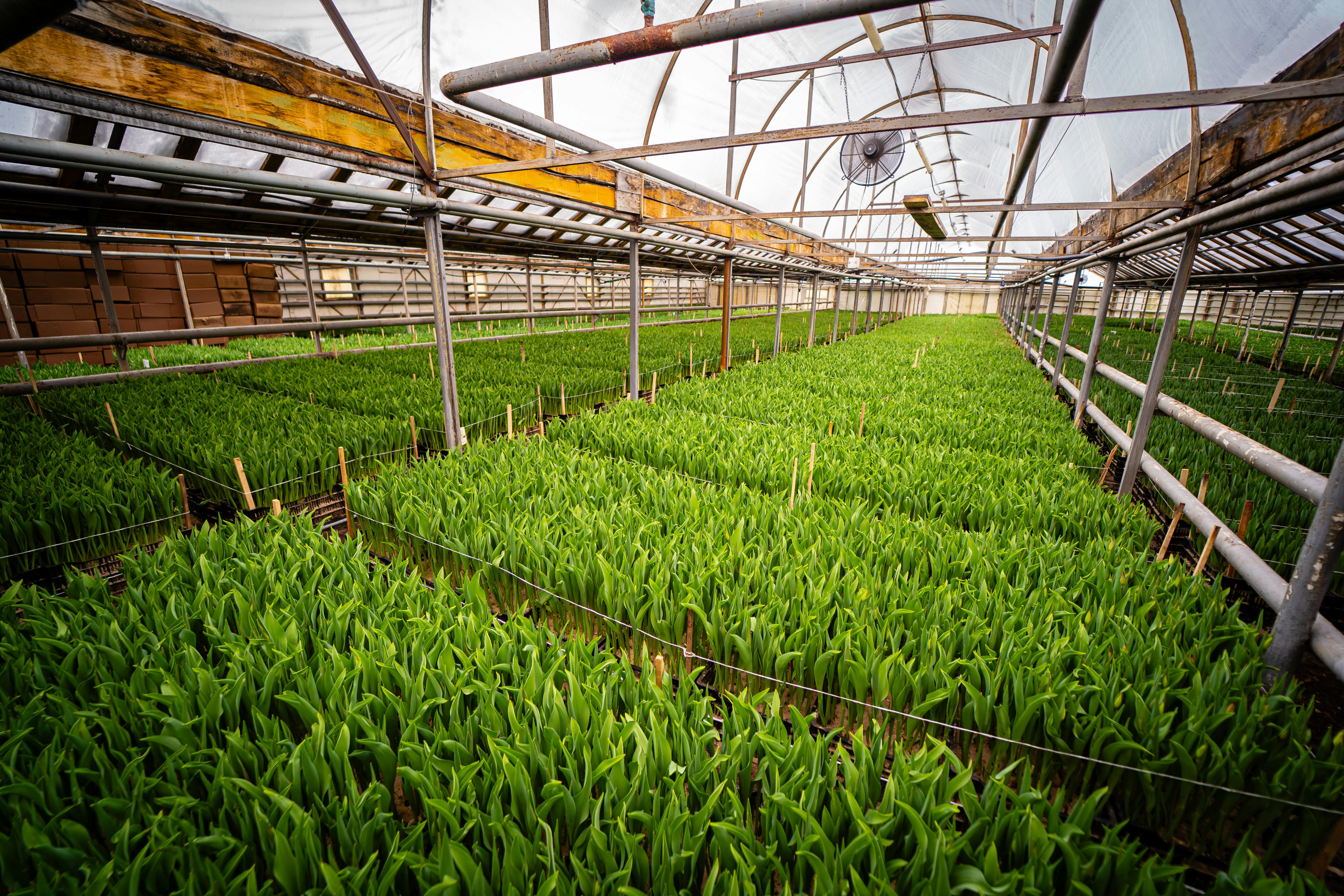 科技：加速現代化產業體系建設的統計公報分析