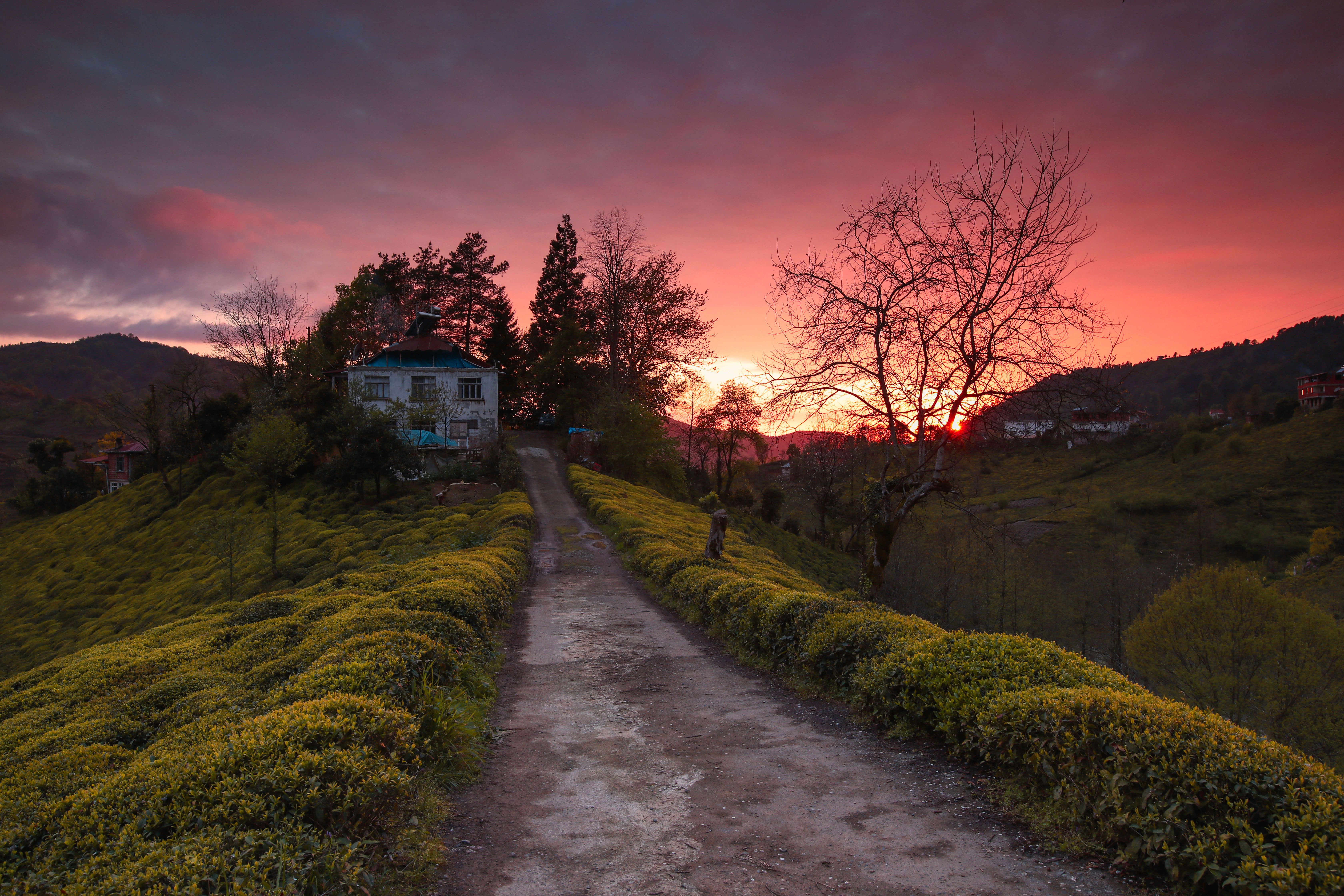 Rize Bezi (Feretiko), Rize Merkez - Keneviri elde dokuma geleneksel Rize kumaşı.