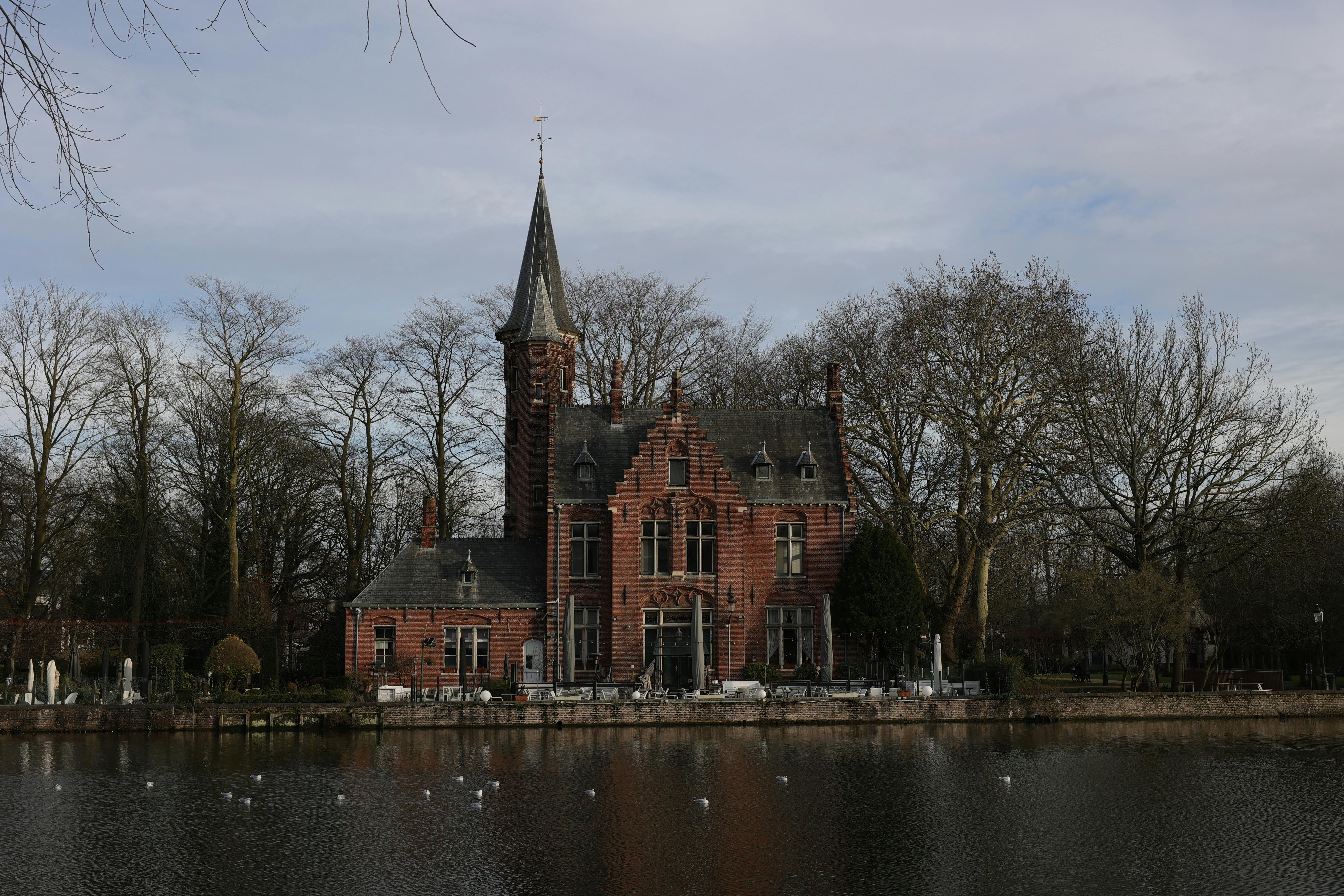 Gratis Middelalderslott ved en rolig innsjø i Brugge, med fantastisk gotisk arkitektur og rolige naturlige omgivelser. Arkivbilde