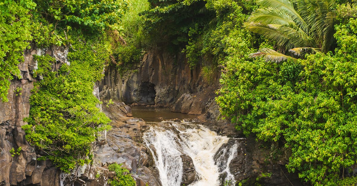 Photo by Satty Singh A tranquil waterfall in lush Hawaiian landscape, perfect for nature and travel imagery.