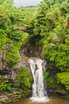 A tranquil waterfall in lush Hawaiian landscape, perfect for nature and travel imagery.