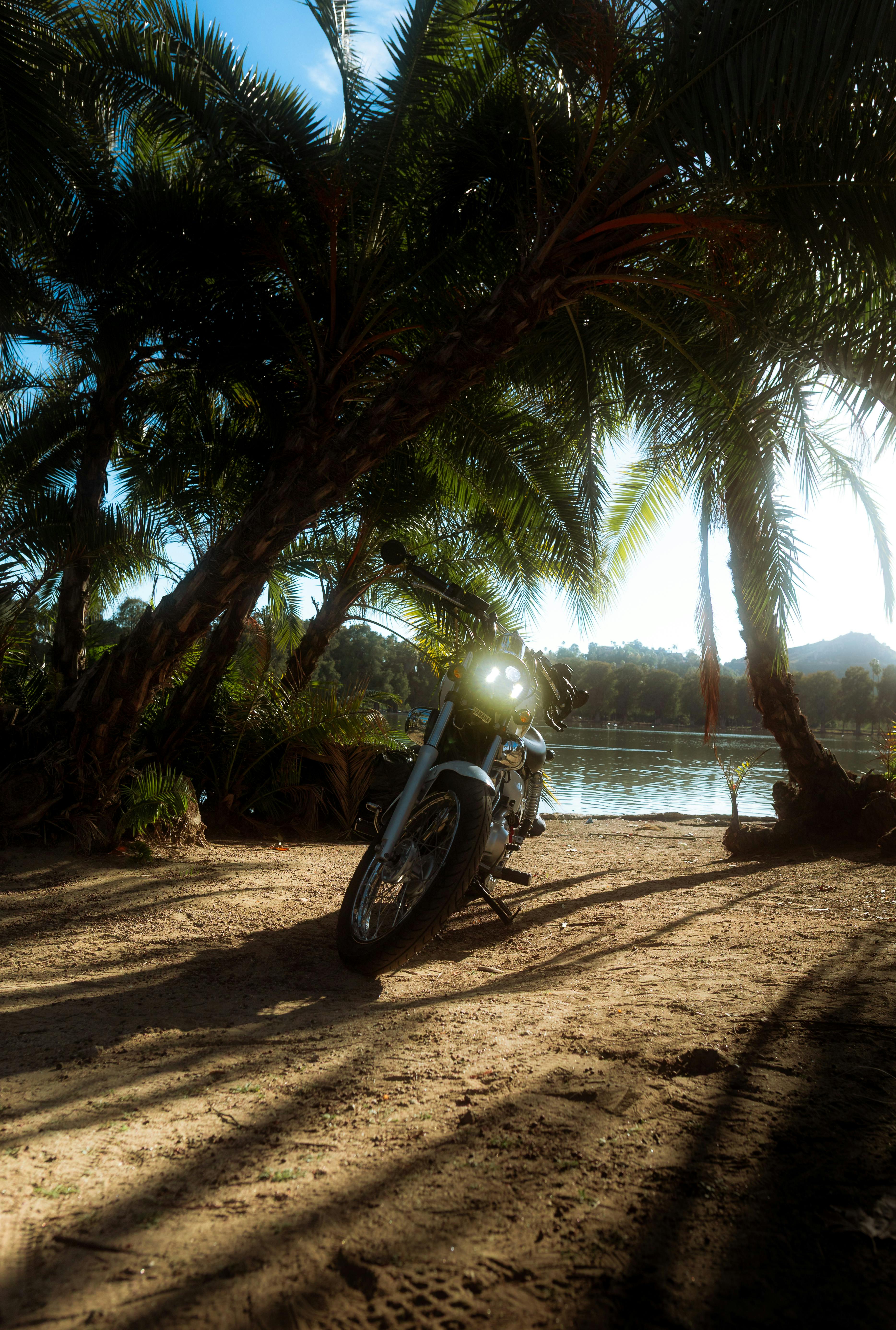Zadarmo Motorka zaparkovaná pod palmami pri pokojnom jazere, evokujúca dobrodružstvo. Fotka z fotobanky