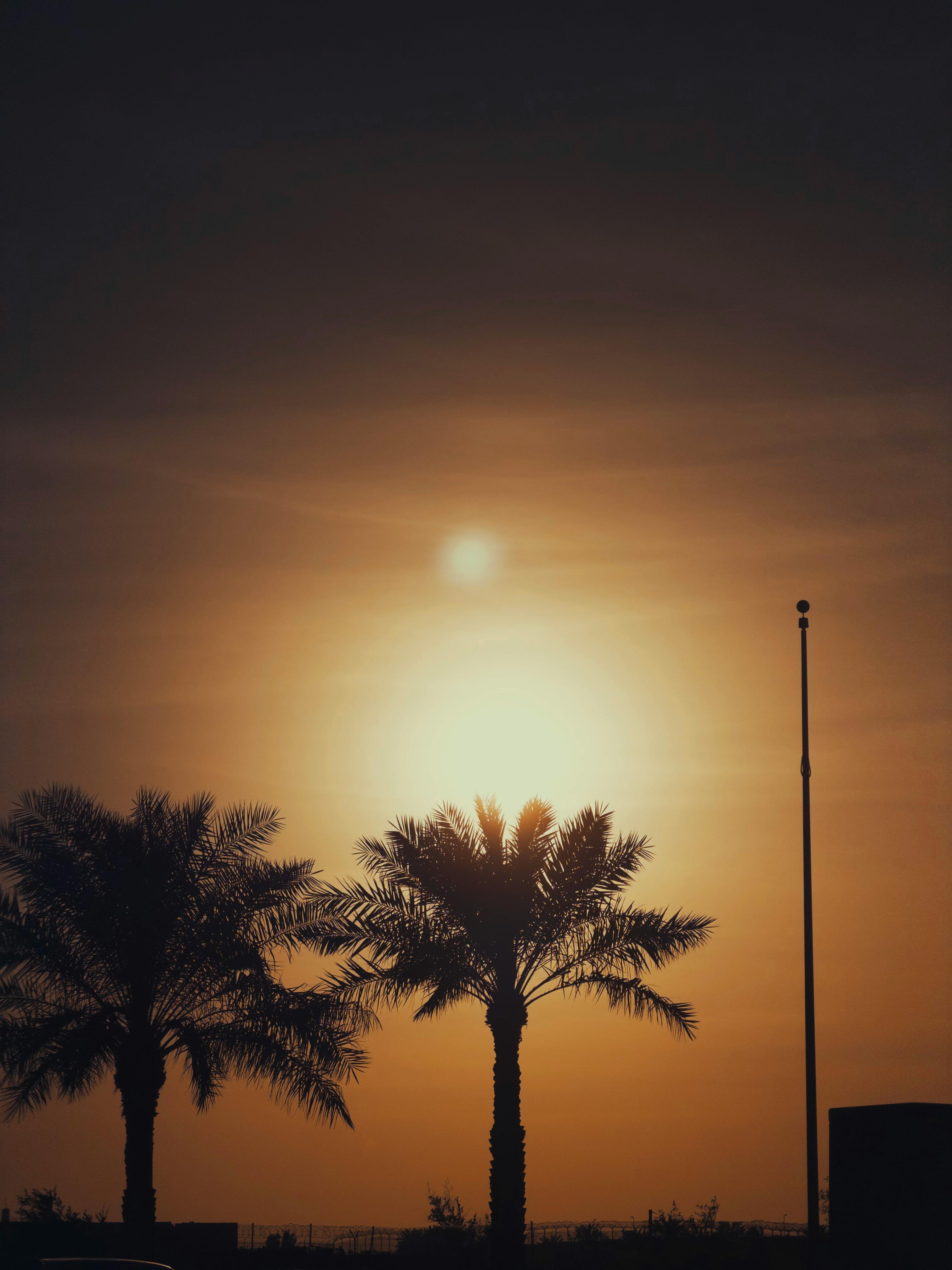 Gratuit Siluete captivante de palmieri pe fundalul unui apus viu în Riyadh, Arabia Saudită. Fotografie de stoc