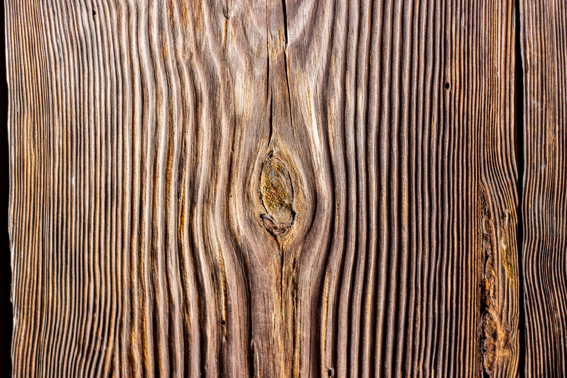 Close-up of timber grain on a finished furniture panel