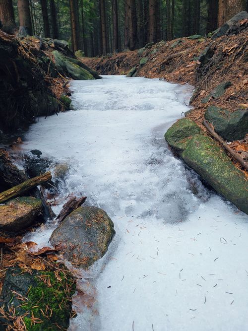 Free A serene frozen stream winding through a lush forest, surrounded by rocks and trees. Stock Photo