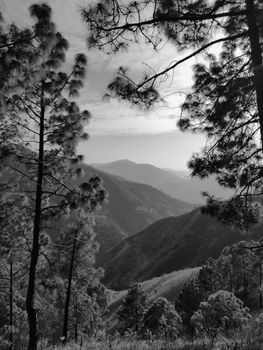 Scenic view of the Himalayan mountains in Chakrata, Uttarakhand, India.