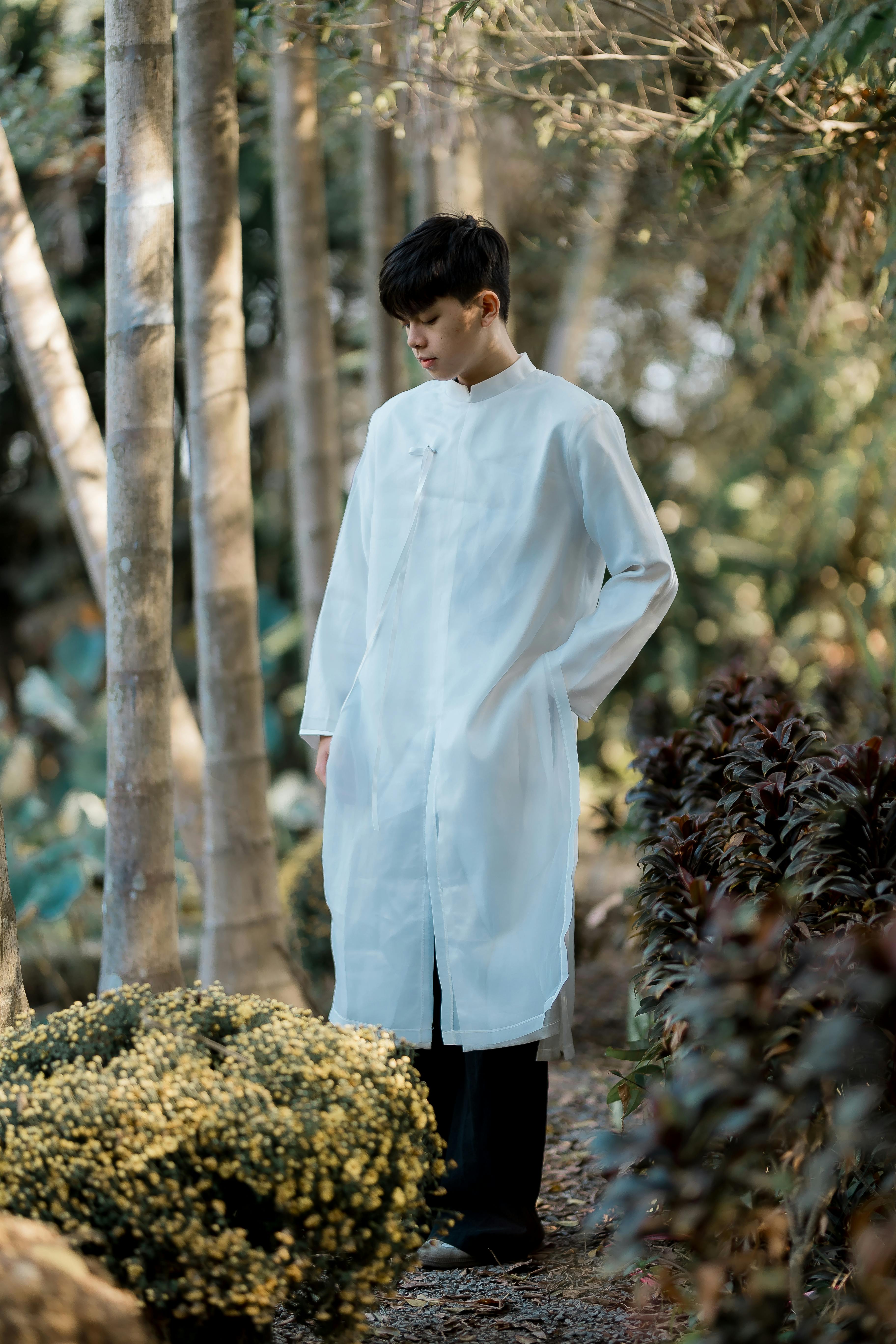 Miễn phí Ảnh lưu trữ miễn phí về ánh sáng tự nhiên, bình yên, cây Ảnh lưu trữ