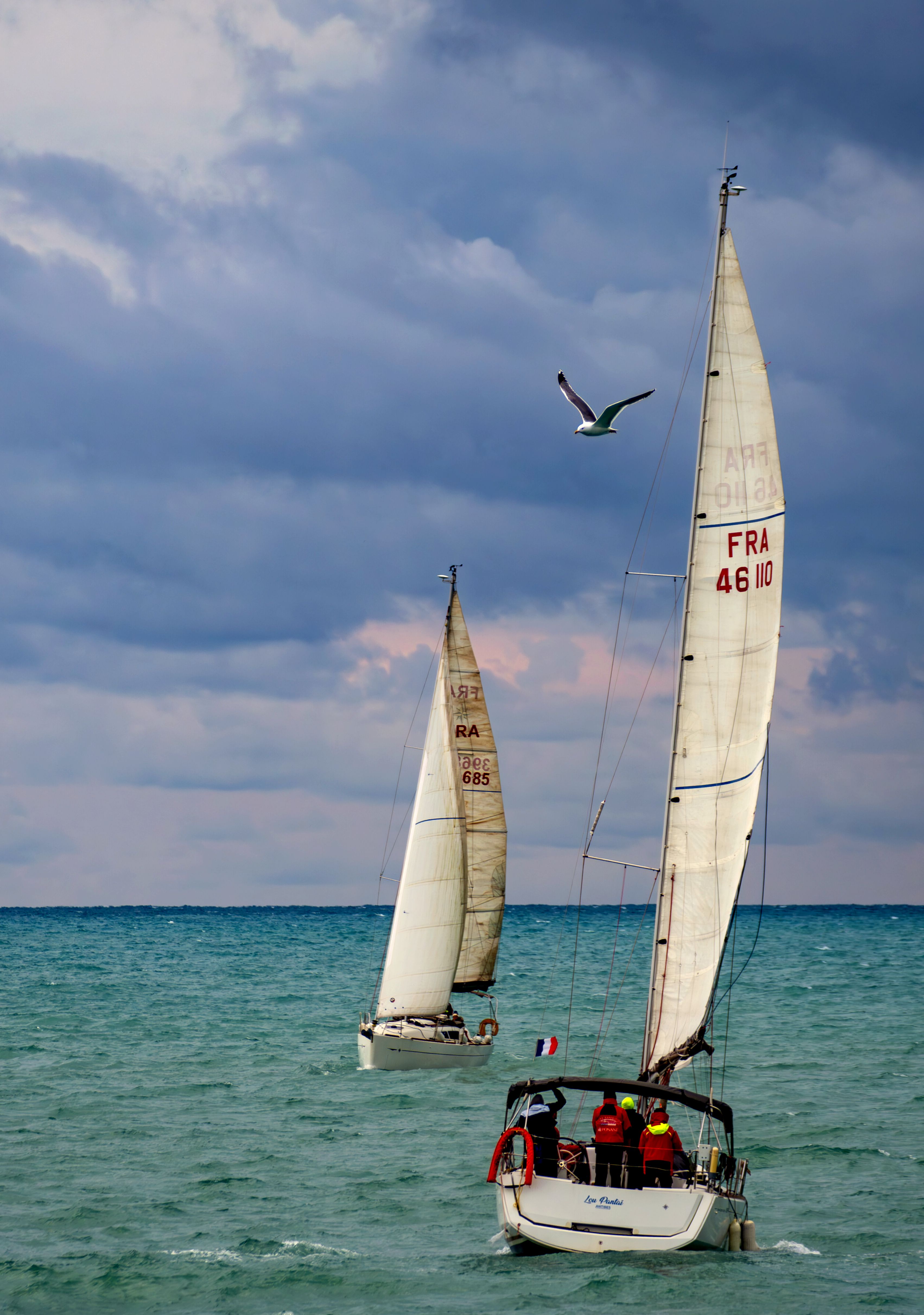Sailboats Navigating Stormy Seas with Bird Overhead