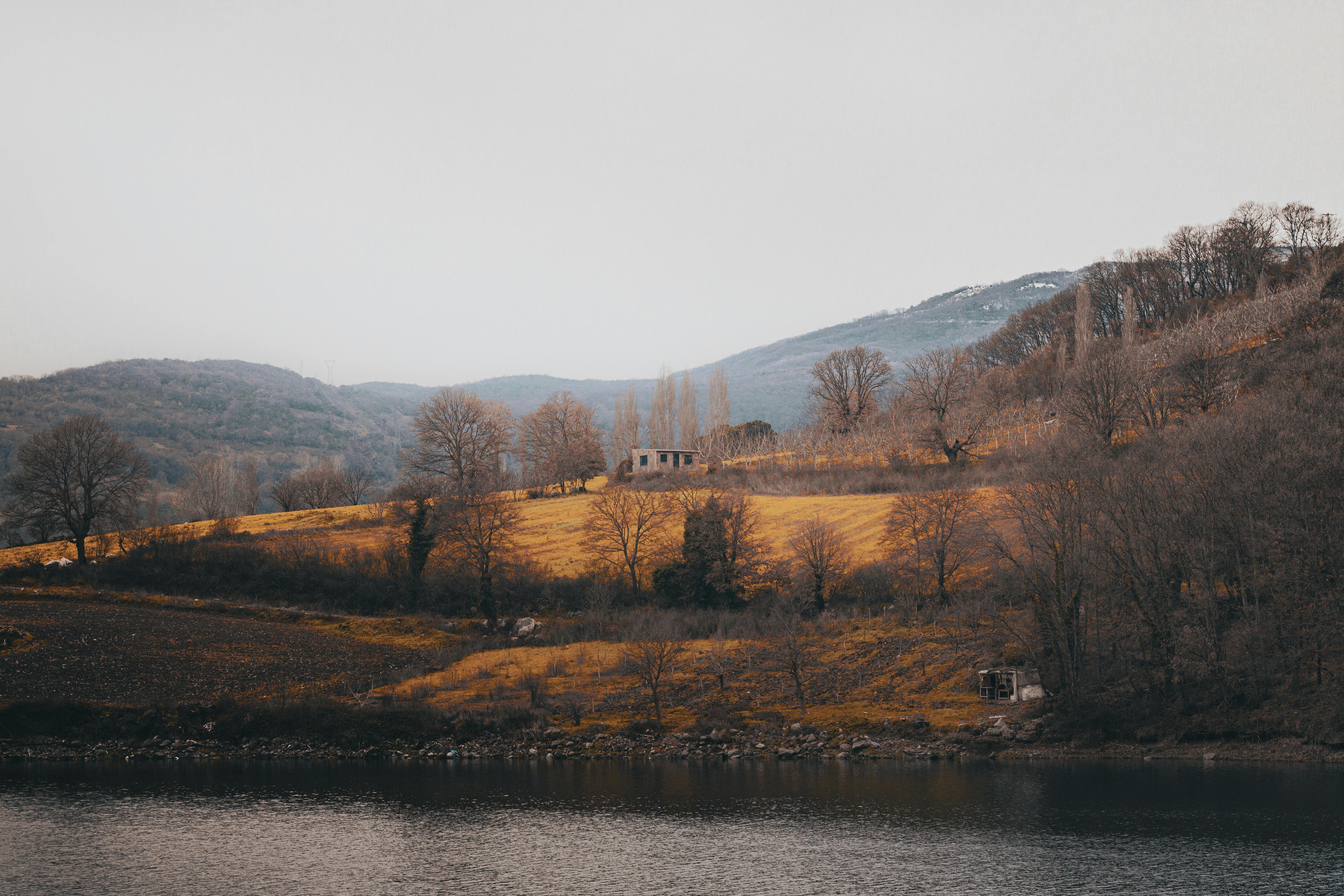 Zadarmo Podmanivá jesenná krajina so zvlnenými kopcami, stromami a pokojným jazerom. Fotka z fotobanky