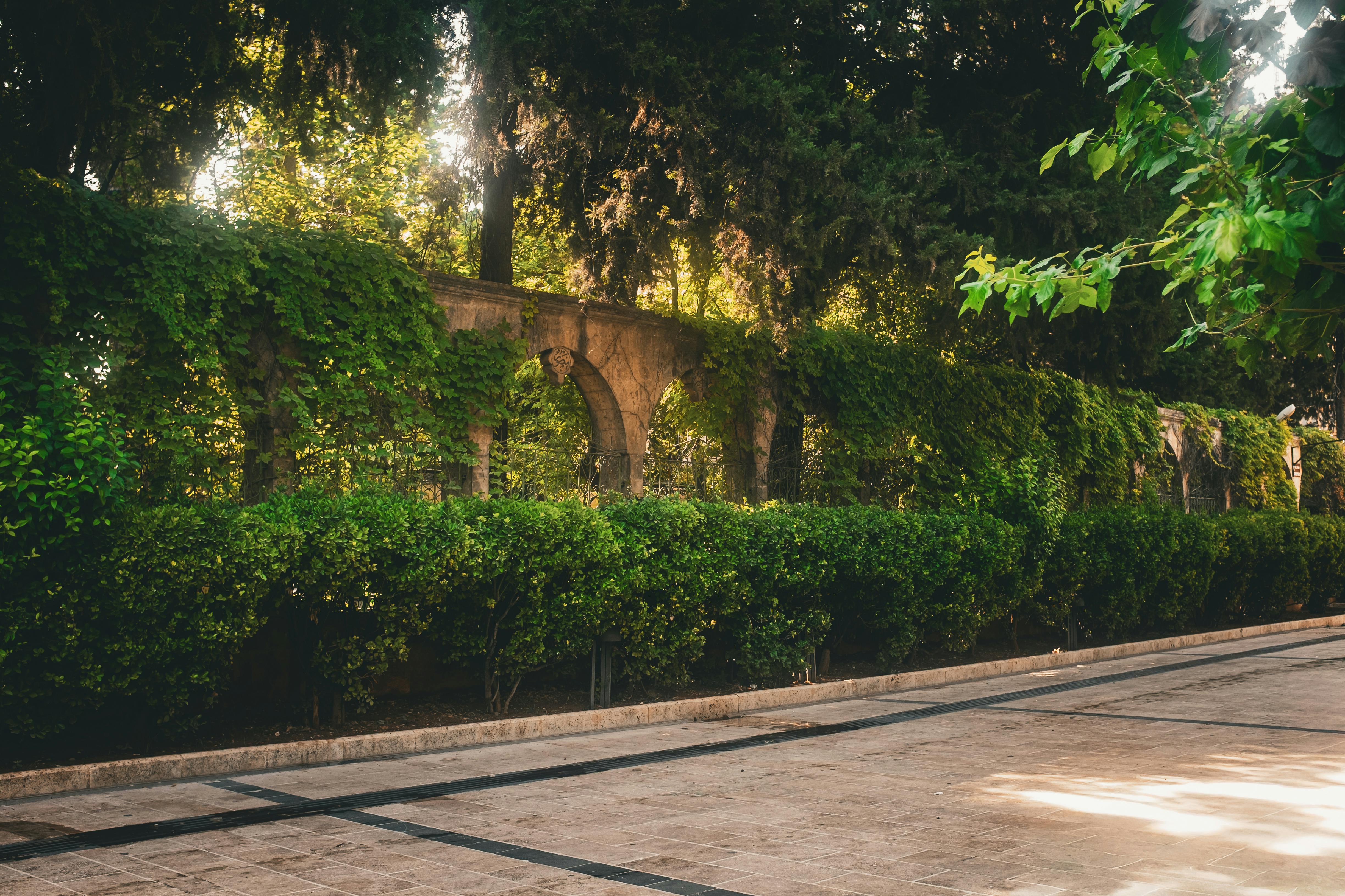 Gratis Tranquillo scenario di giardino con vegetazione lussureggiante e un arco in pietra inondato di luce solare. Foto a disposizione