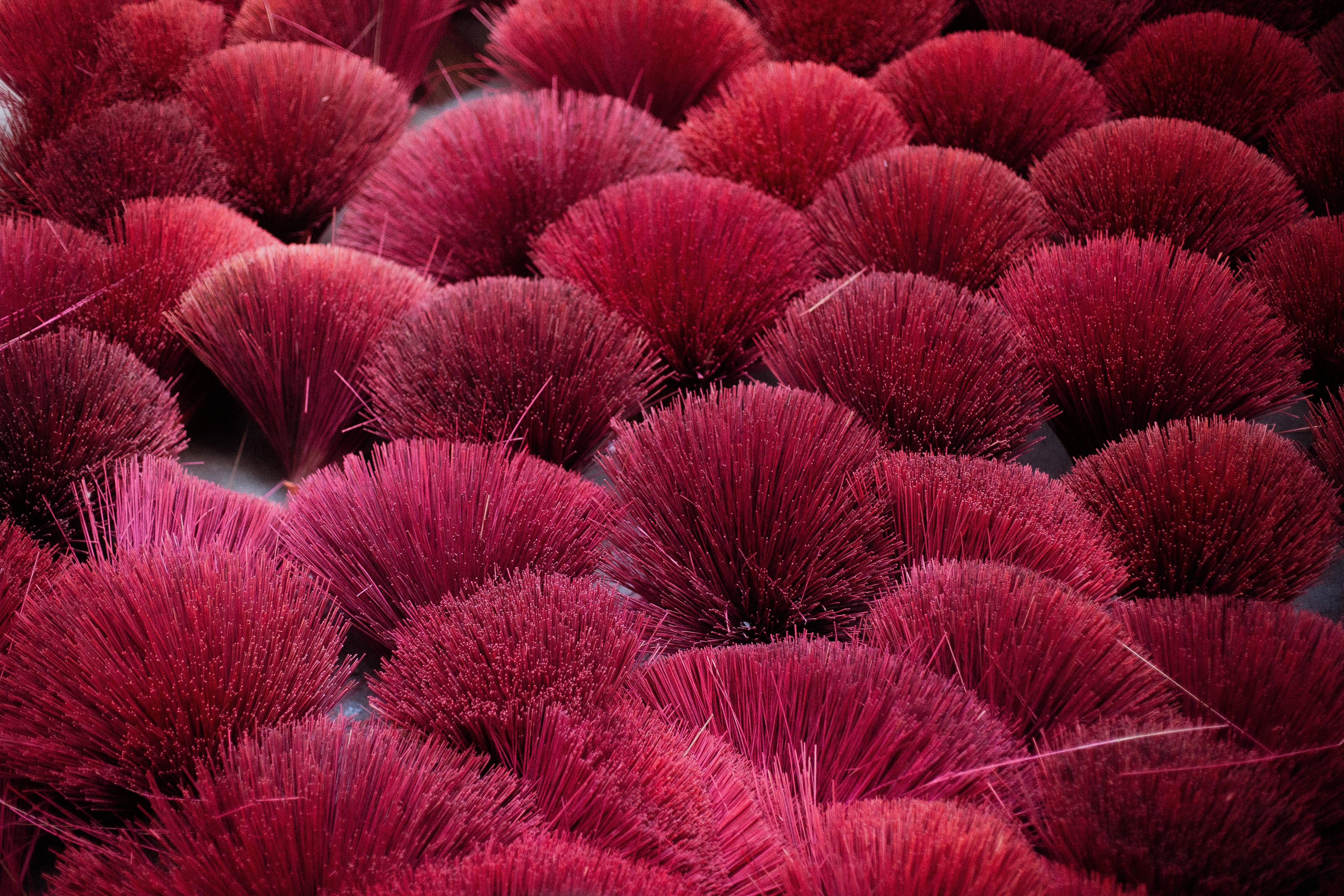 gratis Een opvallende opstelling van rode wierookstokjes die een levendig en dynamisch patroon vormen. Stockfoto