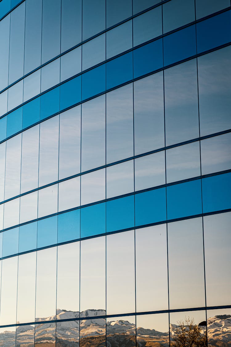 Blue And White Glass Walled Building