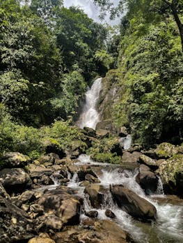 A picturesque waterfall cascading through lush green jungle rocks.
