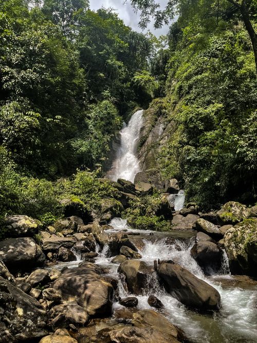 Free A picturesque waterfall cascading through lush green jungle rocks. Stock Photo