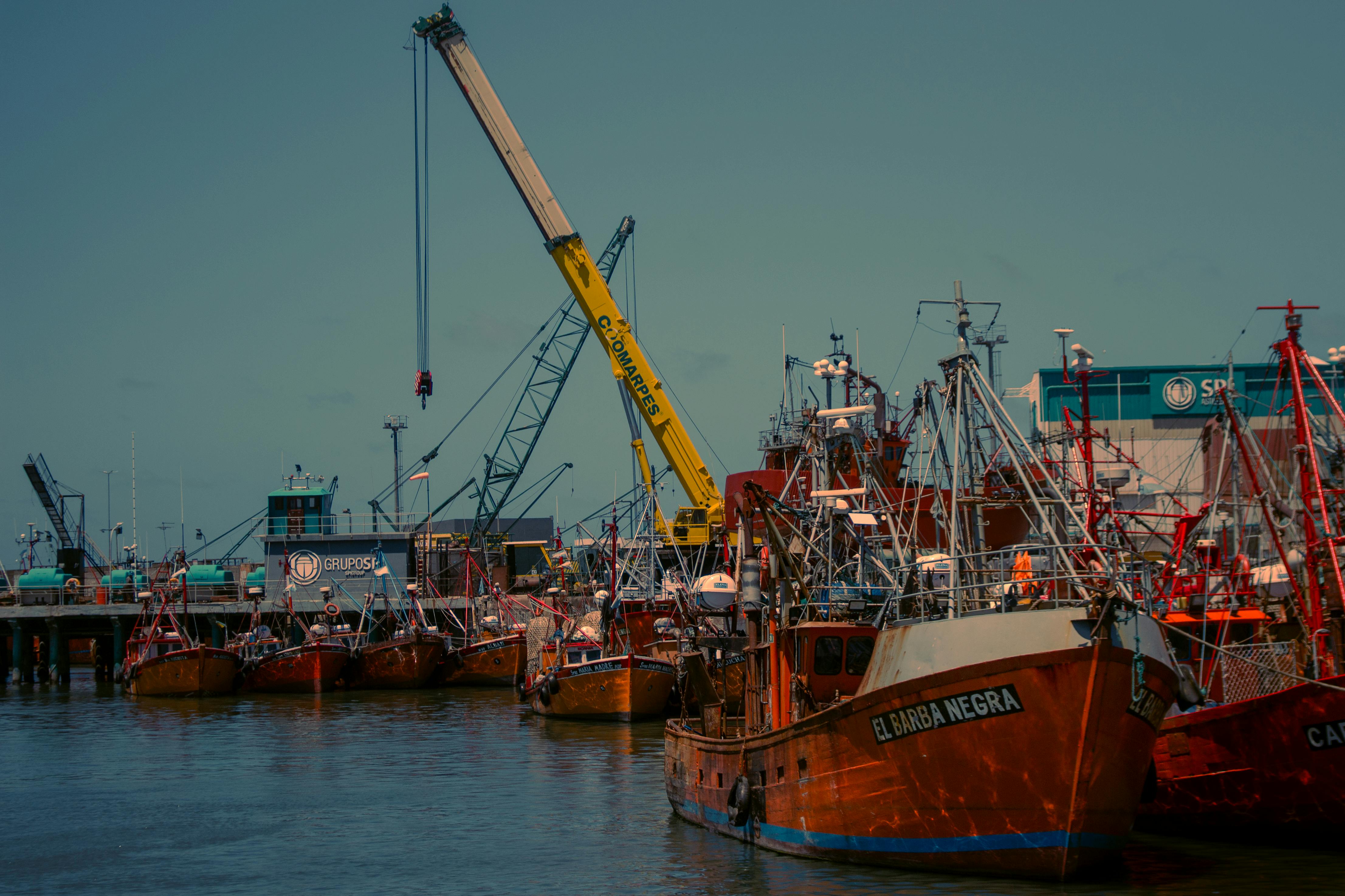 Gratis Perahu nelayan yang semarak dan derek industri di pelabuhan Mar del Plata. Foto Stok