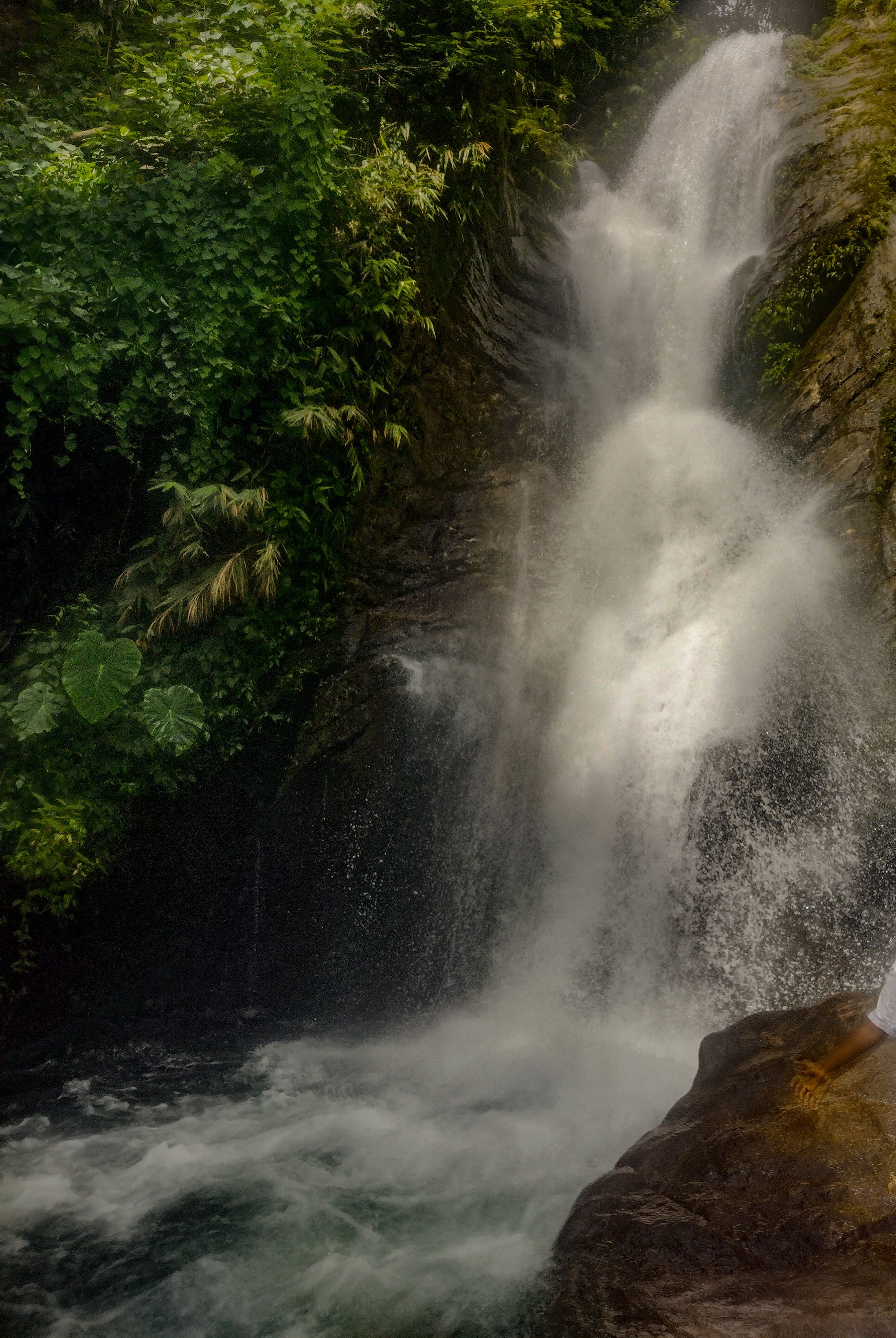 Waterfall surrounded by tropical greenery