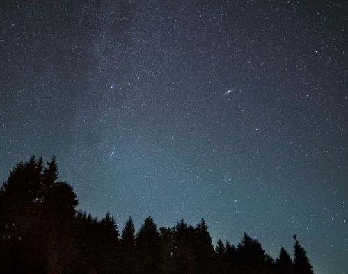 Free A breathtaking view of the starry night sky above the silhouettes of a forest in Artvin, Türkiye. Stock Photo