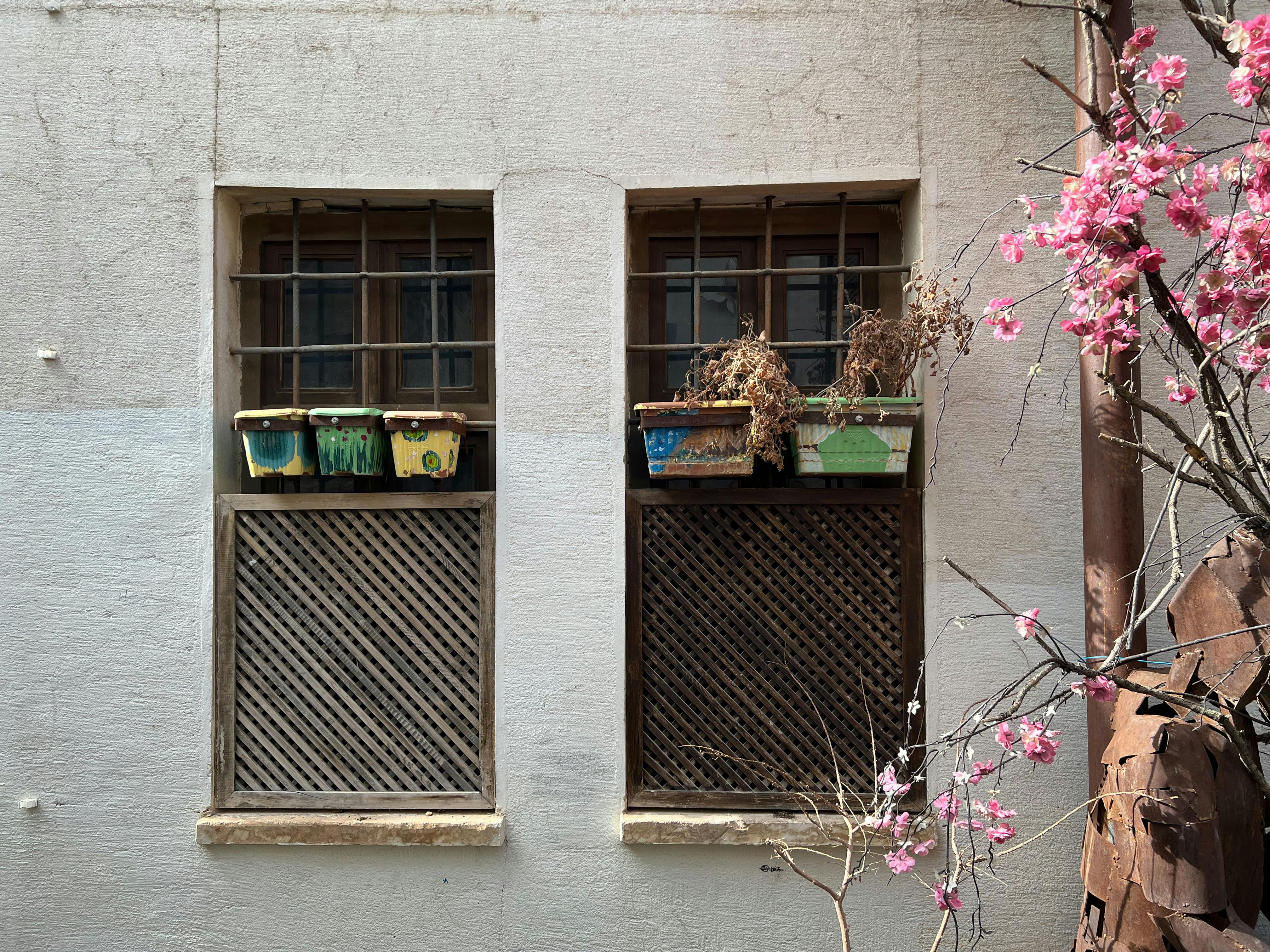 Безкоштовне Чарівний пейзаж просто неба з барвистими віконними ящиками та яскравим квітучим деревом, що передає жваву весняну атмосферу. стокове фото