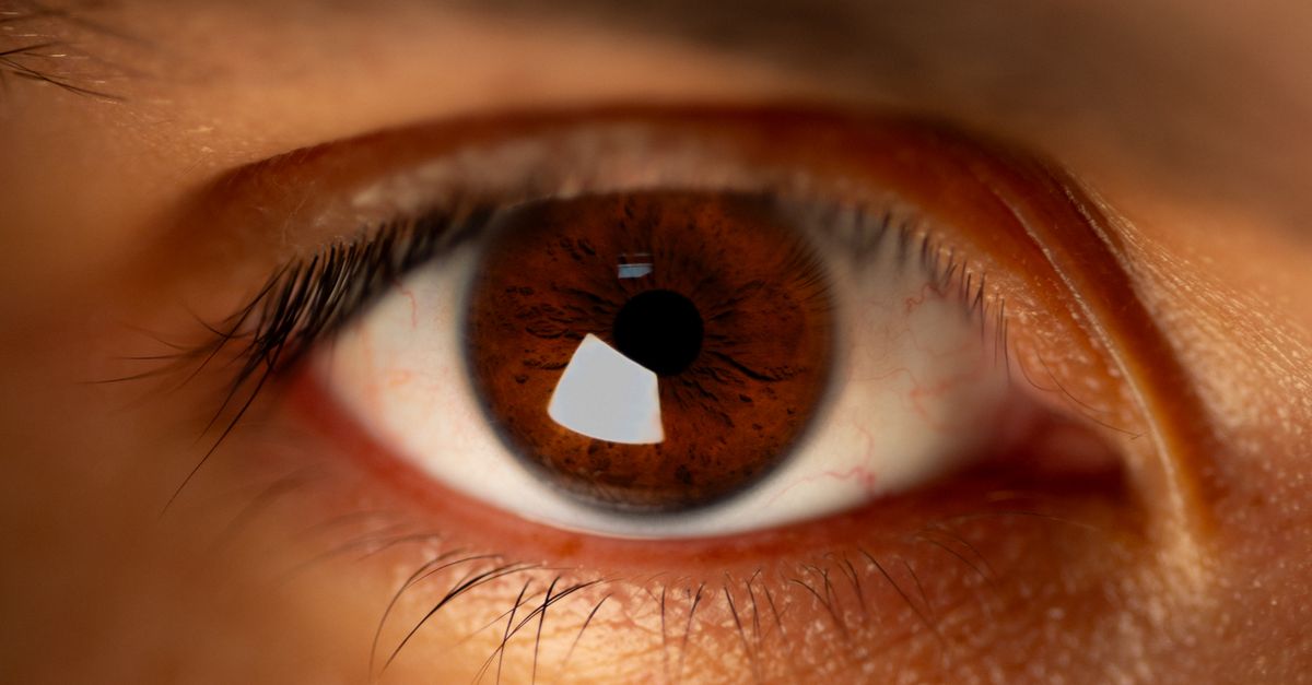 AIIMS Eye Bank Expands Cornea Retrieval with 3 New Hospital Partners
