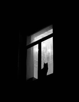 Black and white image of a cat silhouette on a window in Tehran, emphasizing solitude and tranquility.