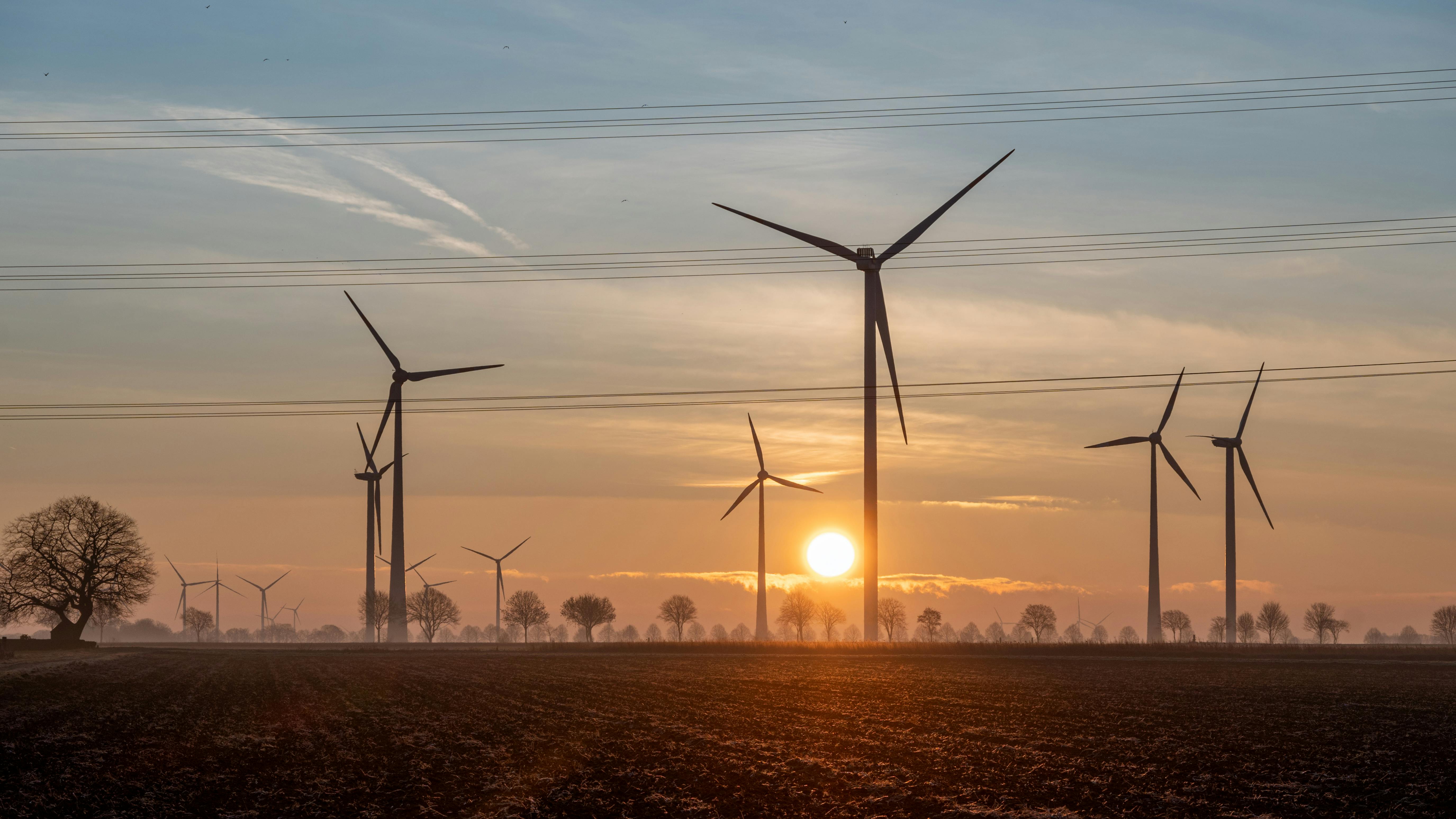 免费 荷兰林堡省科宁斯博斯美丽的日落景色，风力涡轮机清晰可见。 素材图片