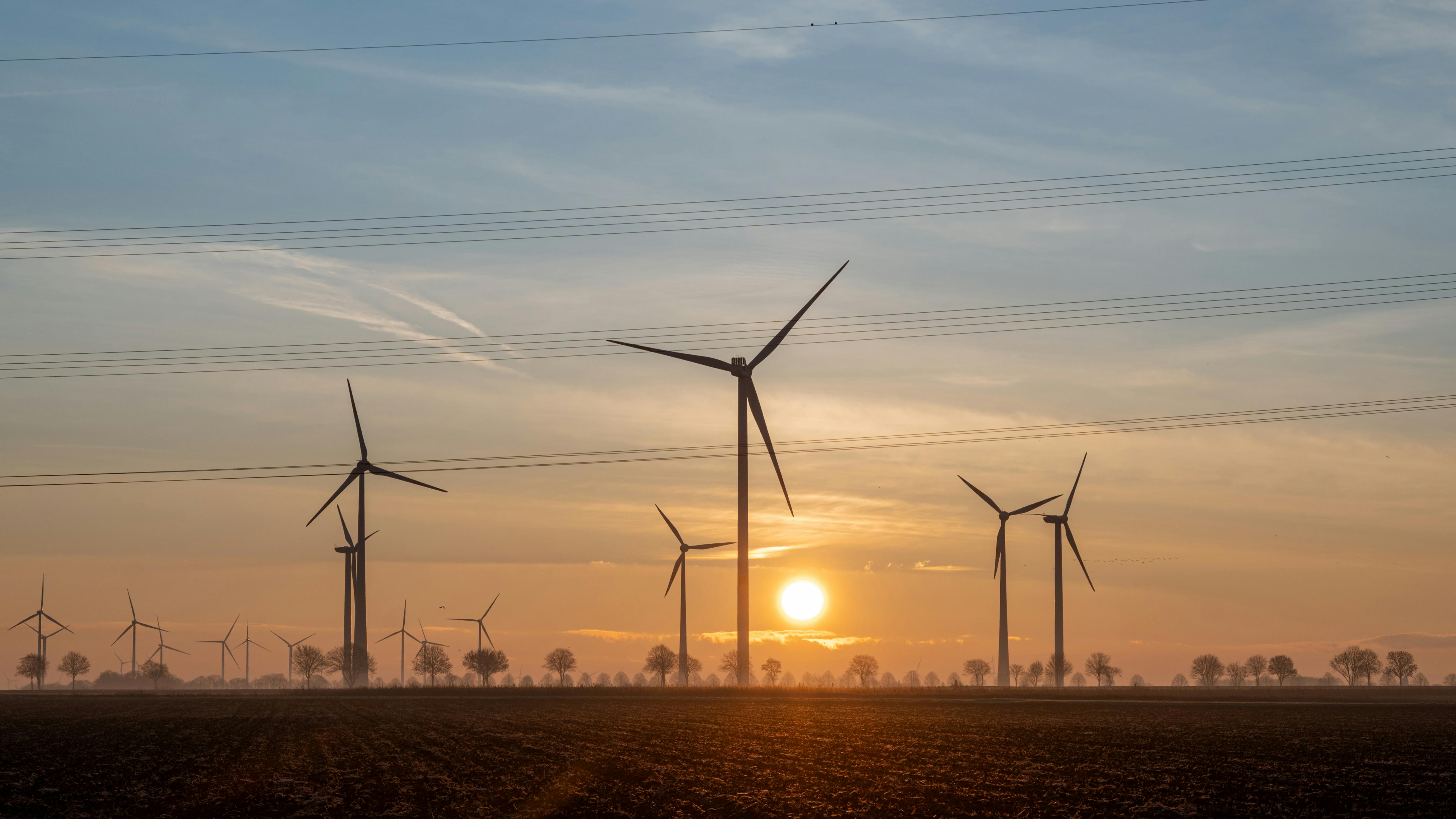 免费 荷兰林堡省科宁斯博斯，风力涡轮机映衬下的壮丽日落。 素材图片