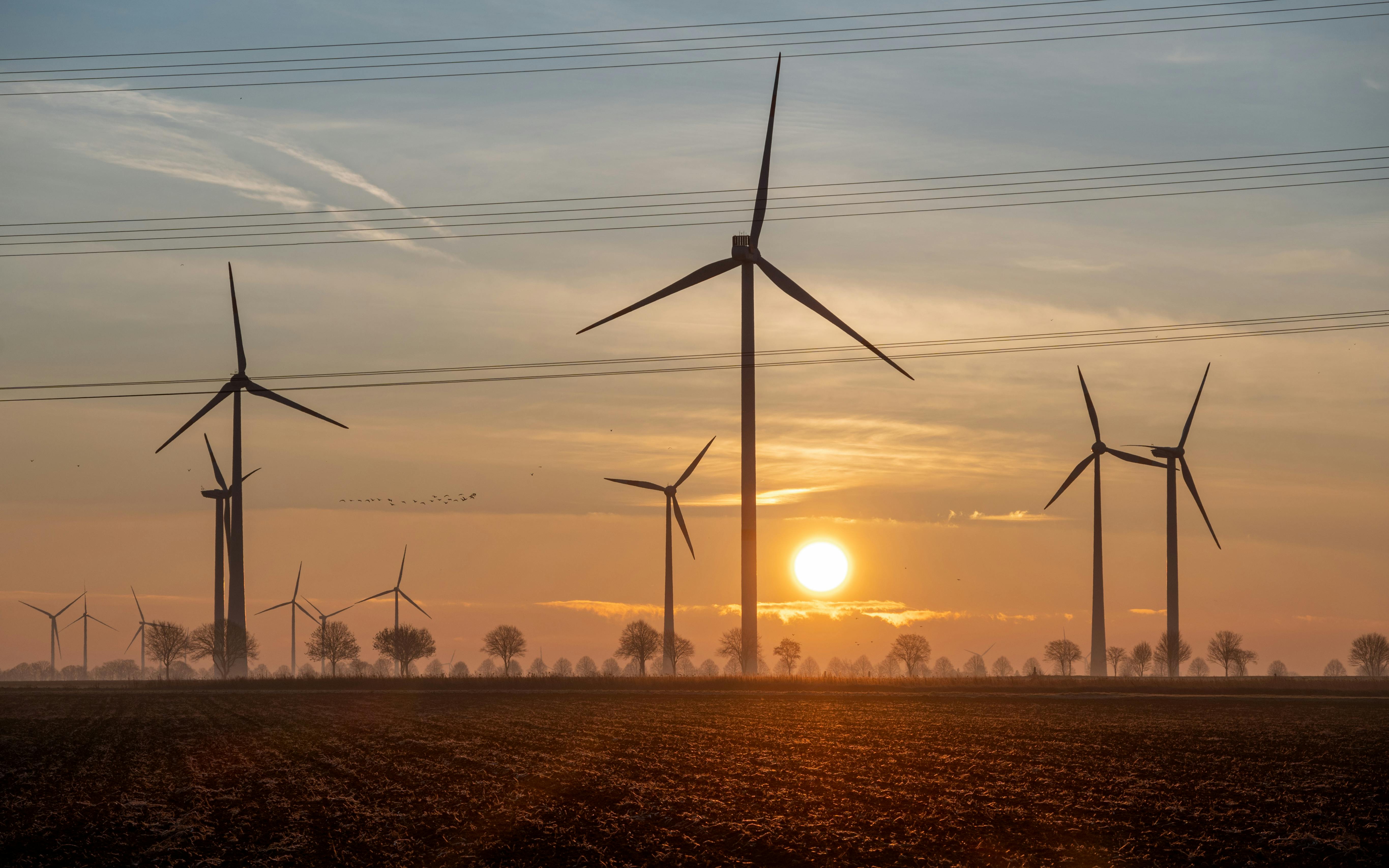 7 Benefits of Renewable Energy Use — Photo by Lorna Pauli on Pexels