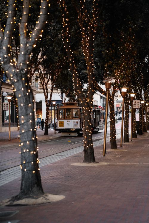 Free Cable car on festive street in San Francisco with lit trees, creating a lively atmosphere. Stock Photo