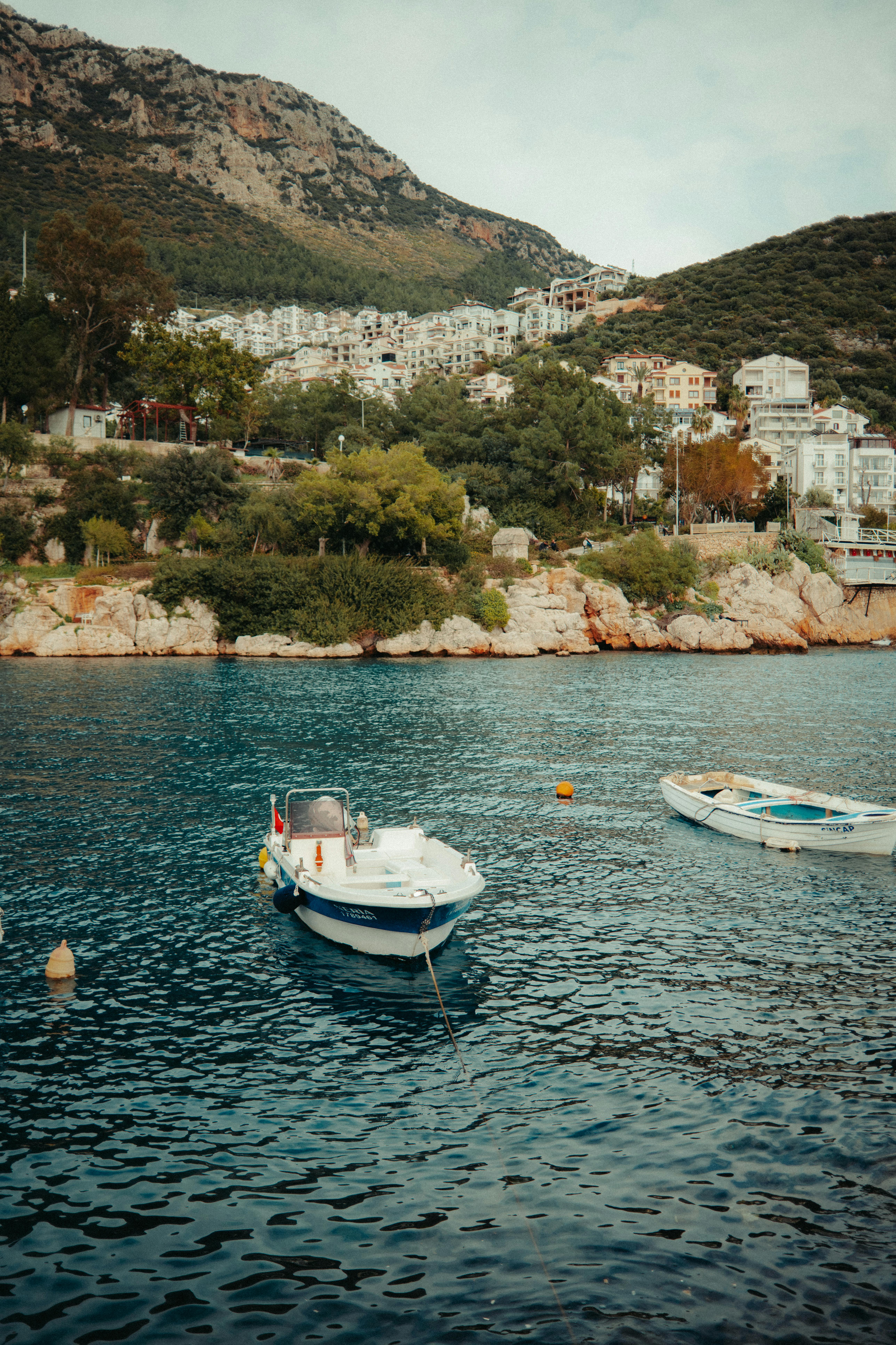 Kostenlos Kostenloses Stock Foto zu abenteuer im freien, bäume, berge Stock-Foto