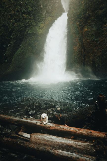 Woman and dog enjoy a serene moment at a stunning mountain waterfall, surrounded by nature's beauty.