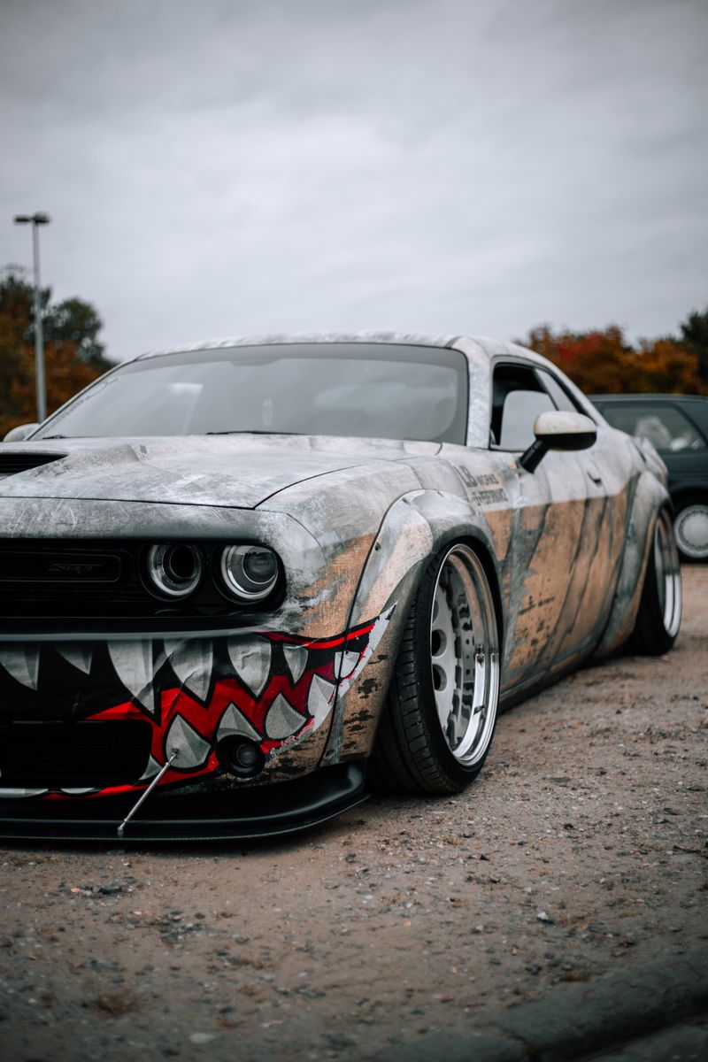 Dip Your Car example 3