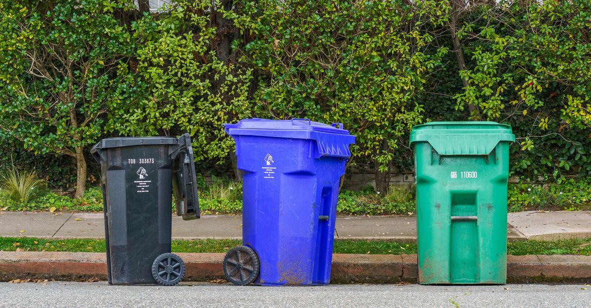 Photo by Robert So Black, blue, and green recycling bins on the street curb, ready for collection.
