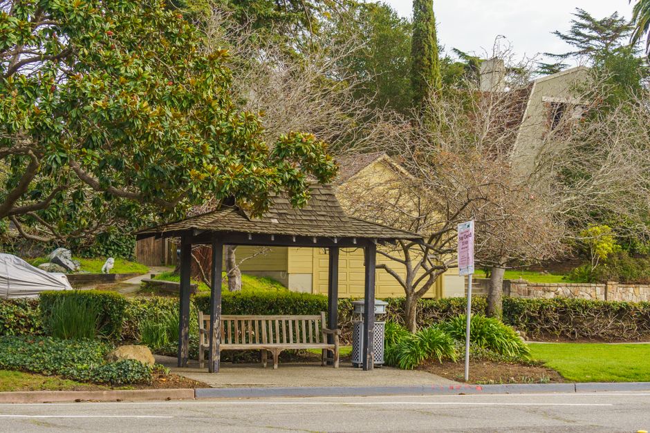 Serene suburban bus stop with wooden bench and spring greenery.