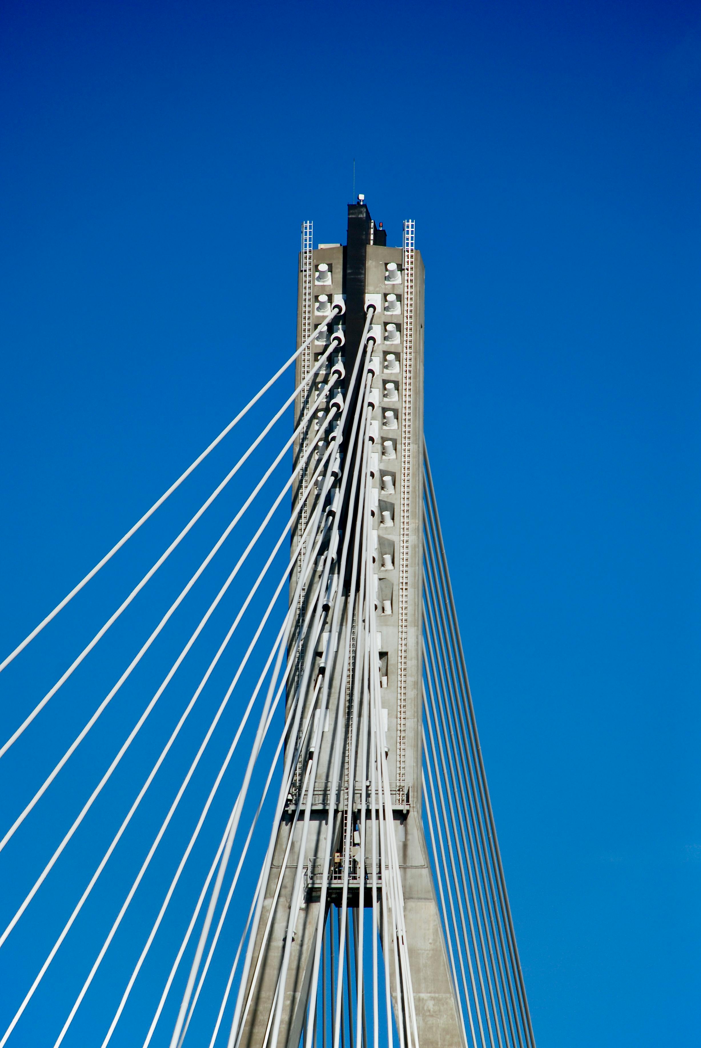 Δωρεάν στοκ φωτογραφιών με warszawa, województwo mazowieckie, αξιοθέατο Φωτογραφία από στοκ φωτογραφιών