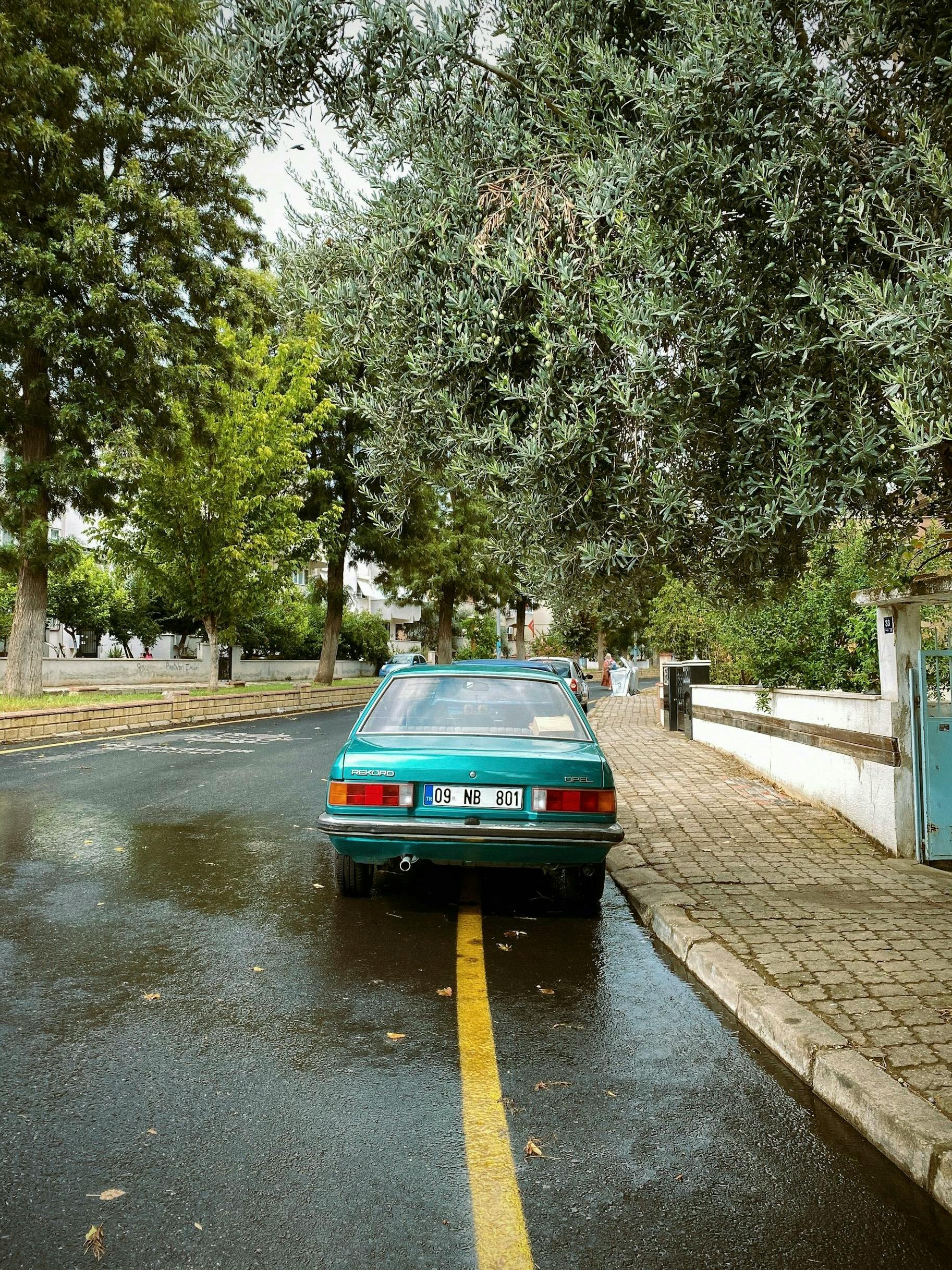 ingyenes Veterán autó egy nedves utcán, fákkal körülvéve, nosztalgikus városi látványt teremtve. Stockfotó