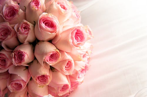 免费 粉红和白玫瑰花束 素材图片