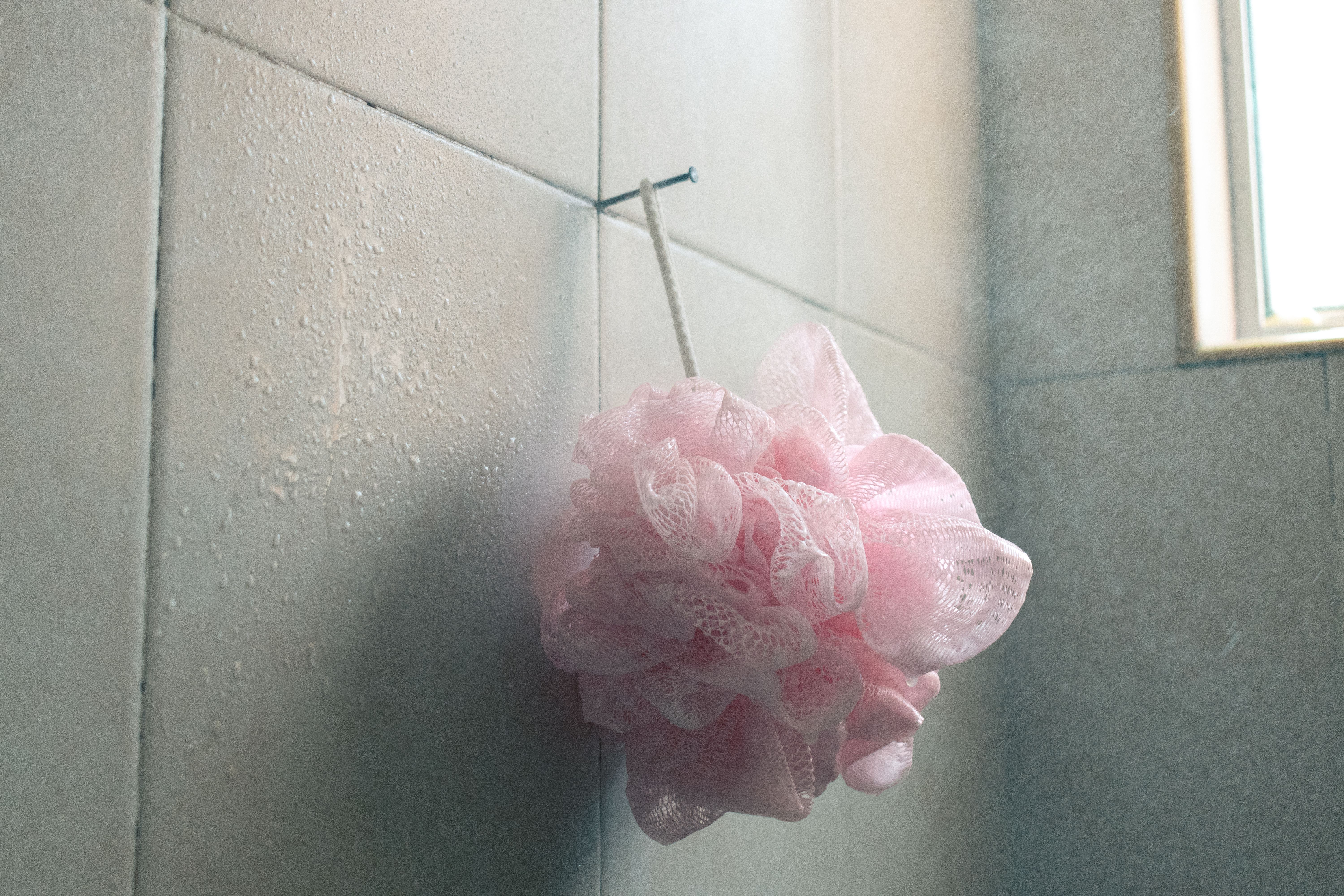 Shower Loofahs