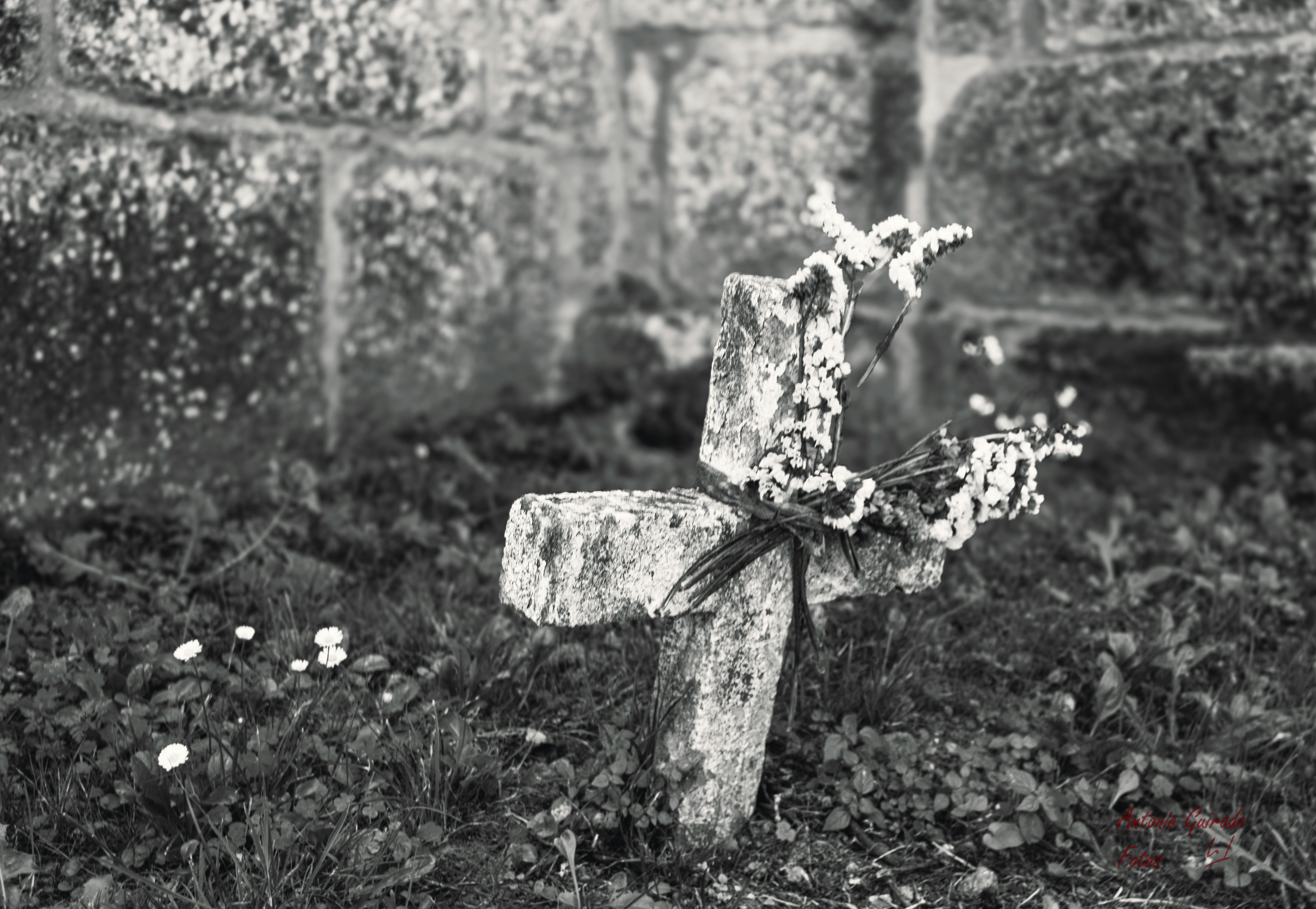 Should You Buy CROSS in 2026? 4 Key Risks and Rewards to Consider Now — cryptocurrency and blockchain — USD EUR — 2026