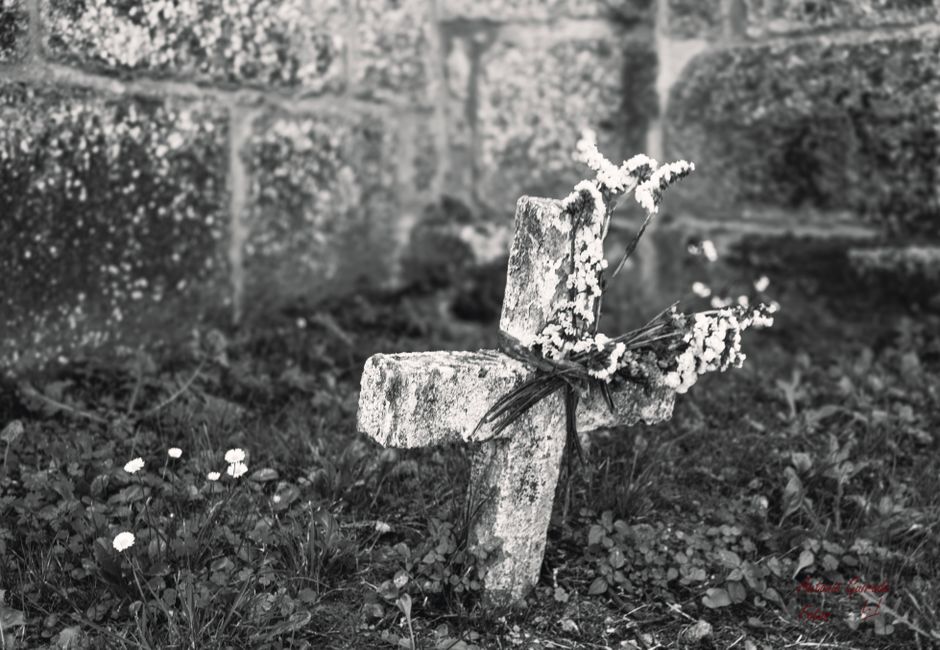 A black and white photo of an old stone cross adorned with flowers in a cemetery setting.