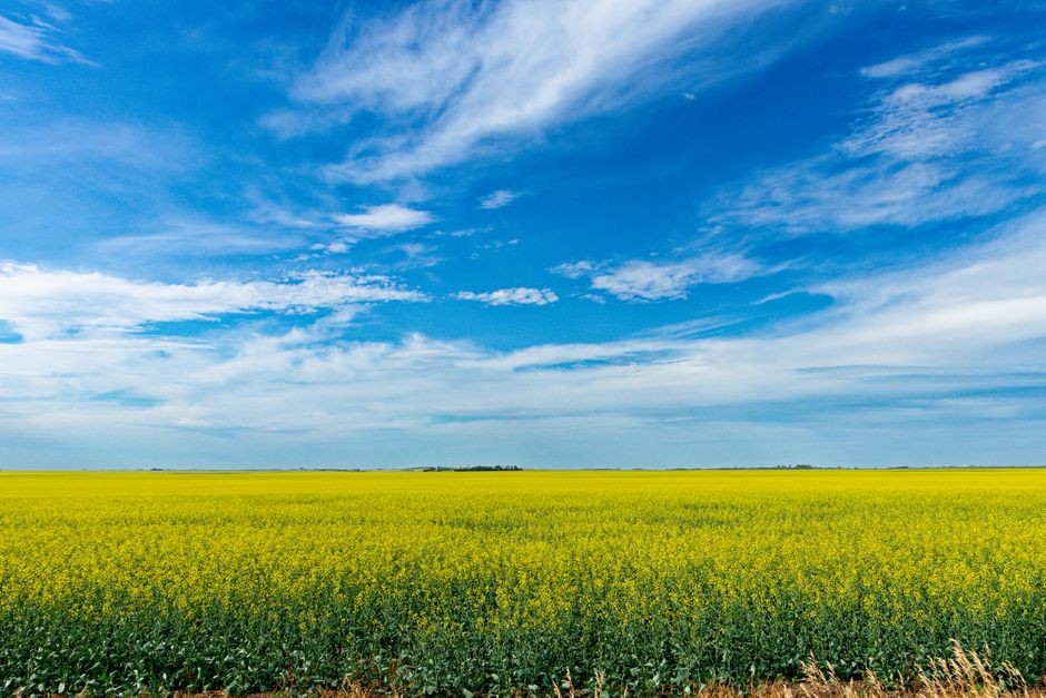 Keyera Closes $5.3B Plains Acquisition Despite Regulator Challenge