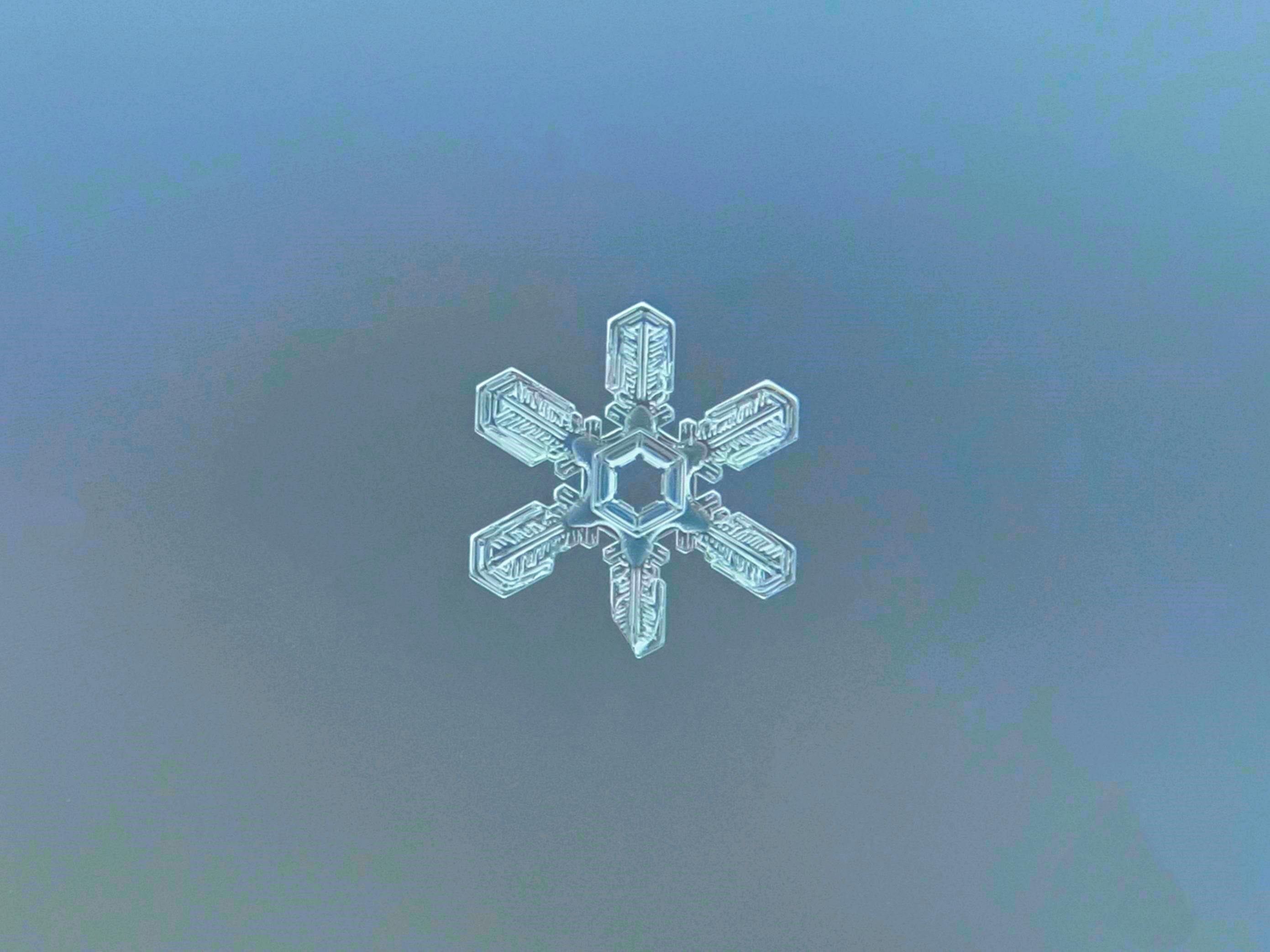 gratis Macrofoto van een kristallen sneeuwvlok tegen een blauwe achtergrond. Stockfoto