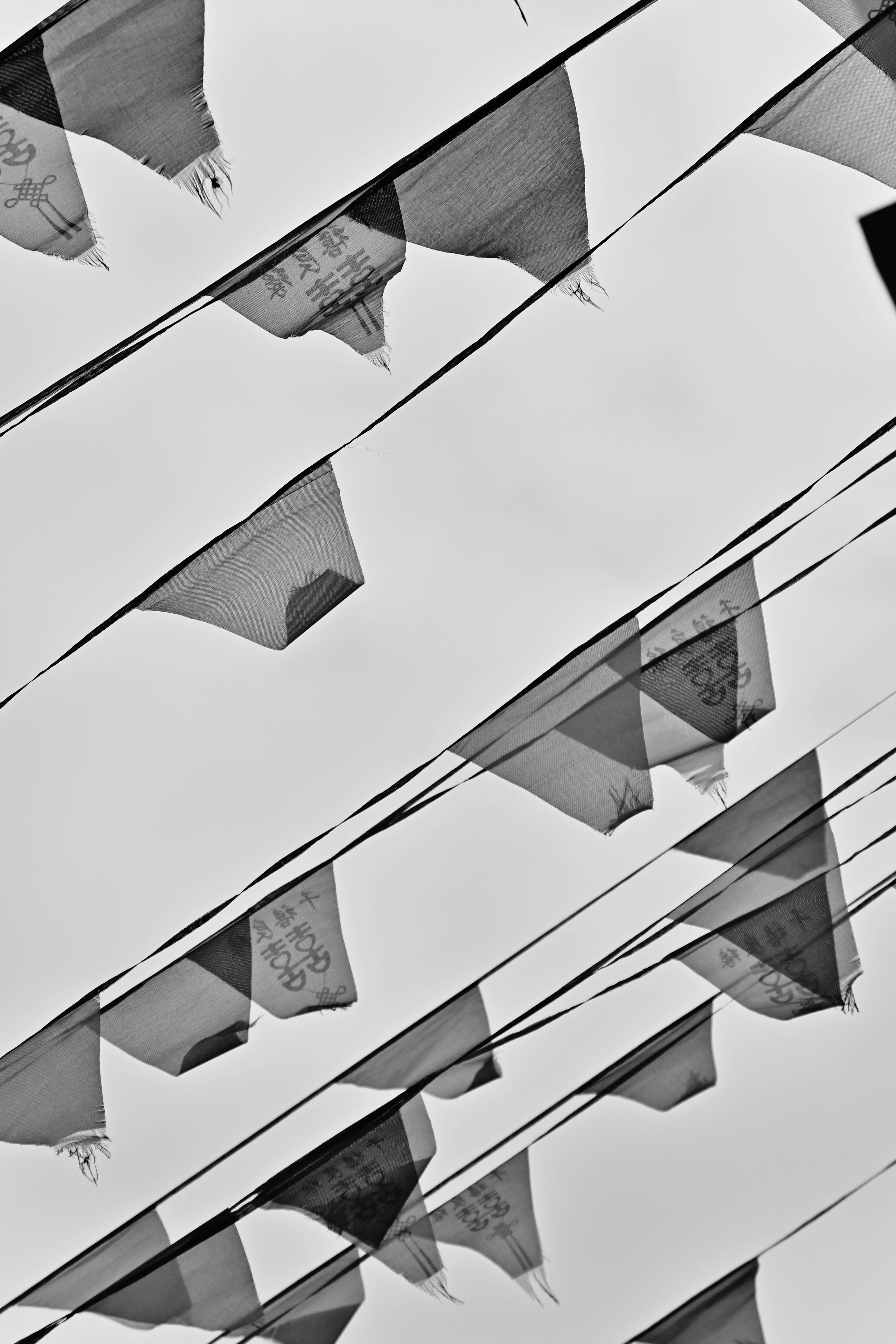 Kostenlos Monochrome künstlerische Aufnahme von im Wind wehenden tibetischen Gebetsfahnen, die eine friedvolle Atmosphäre schaffen. Stock-Foto