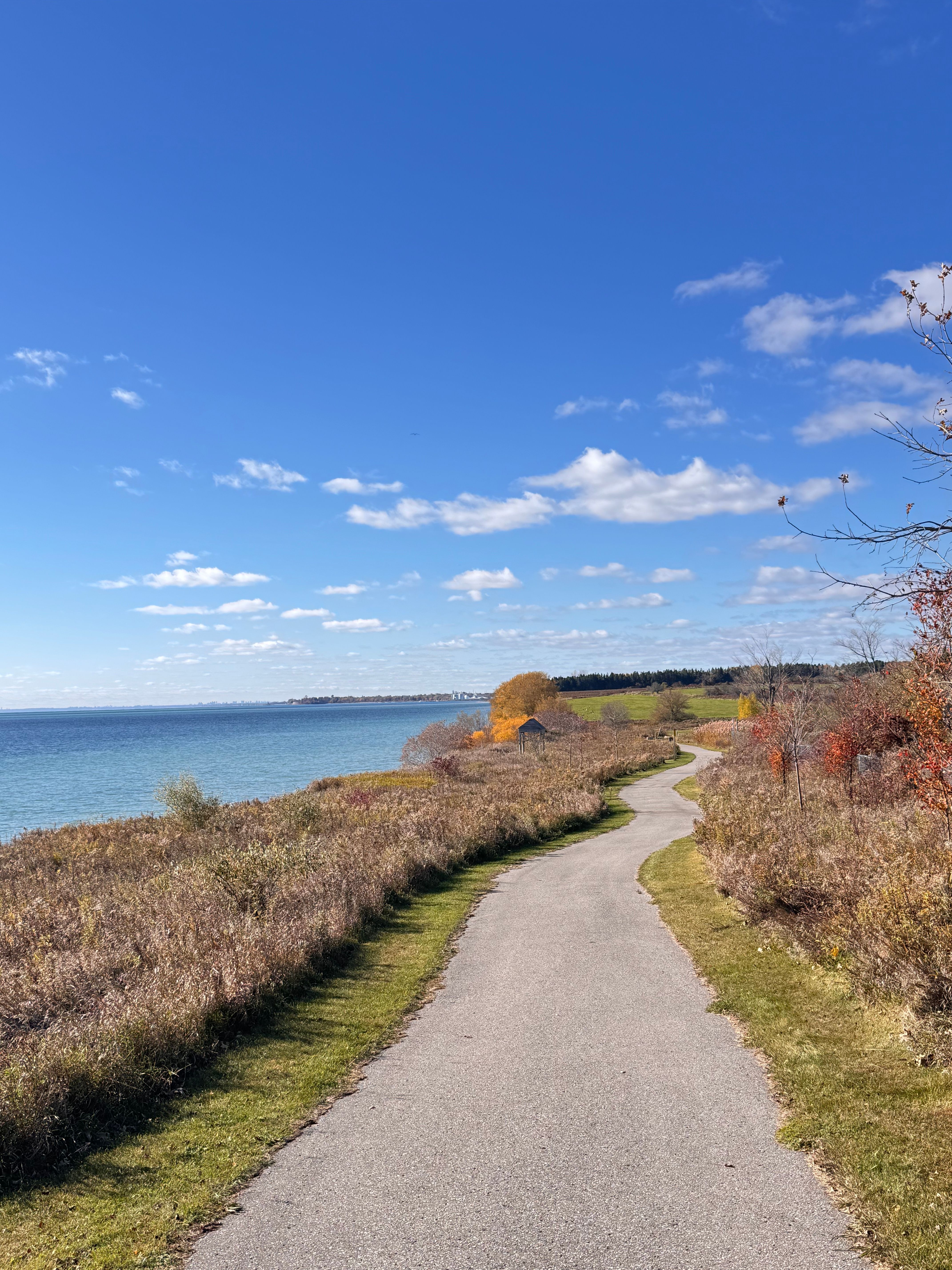 Scenic Autumn Pathway Along Toronto Waterfront · Free Stock Photo